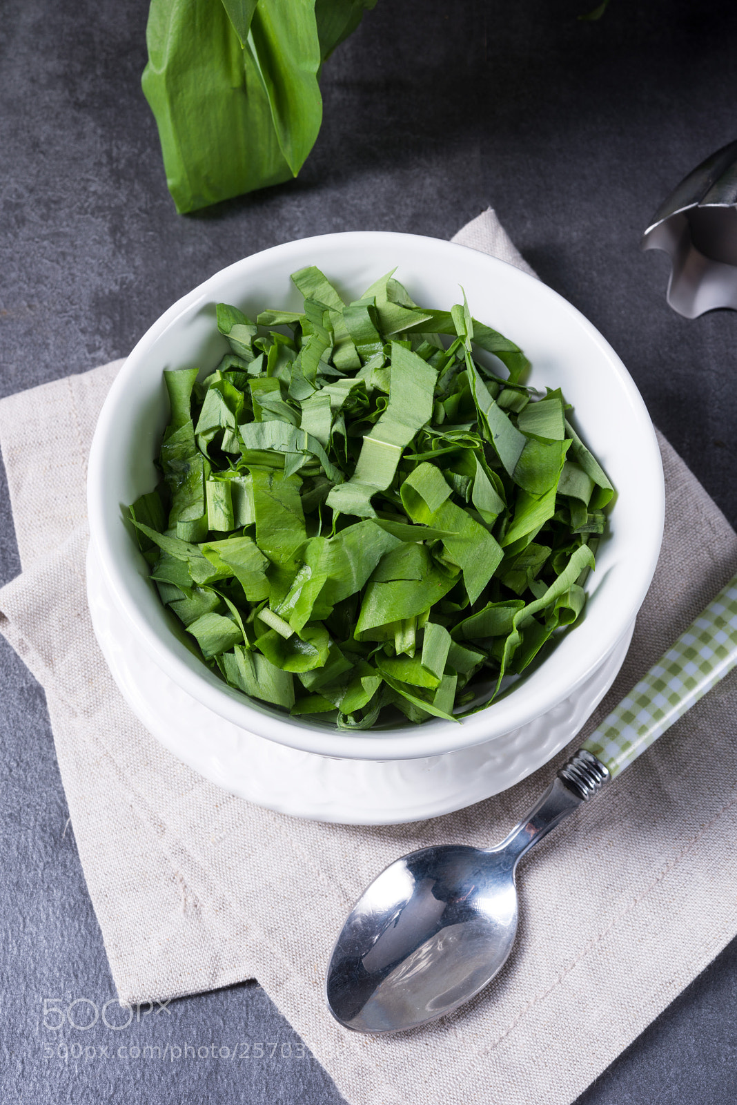 Nikon D810 sample photo. Wild garlic stripes for photography