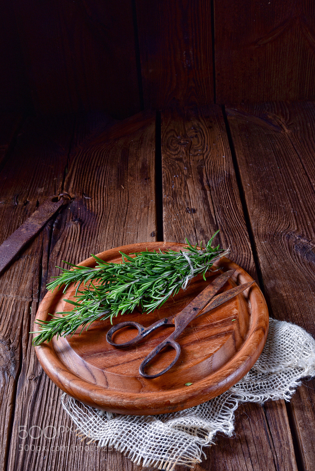 Nikon D810 sample photo. Rosmarin (rosmarinus officinalis) photography