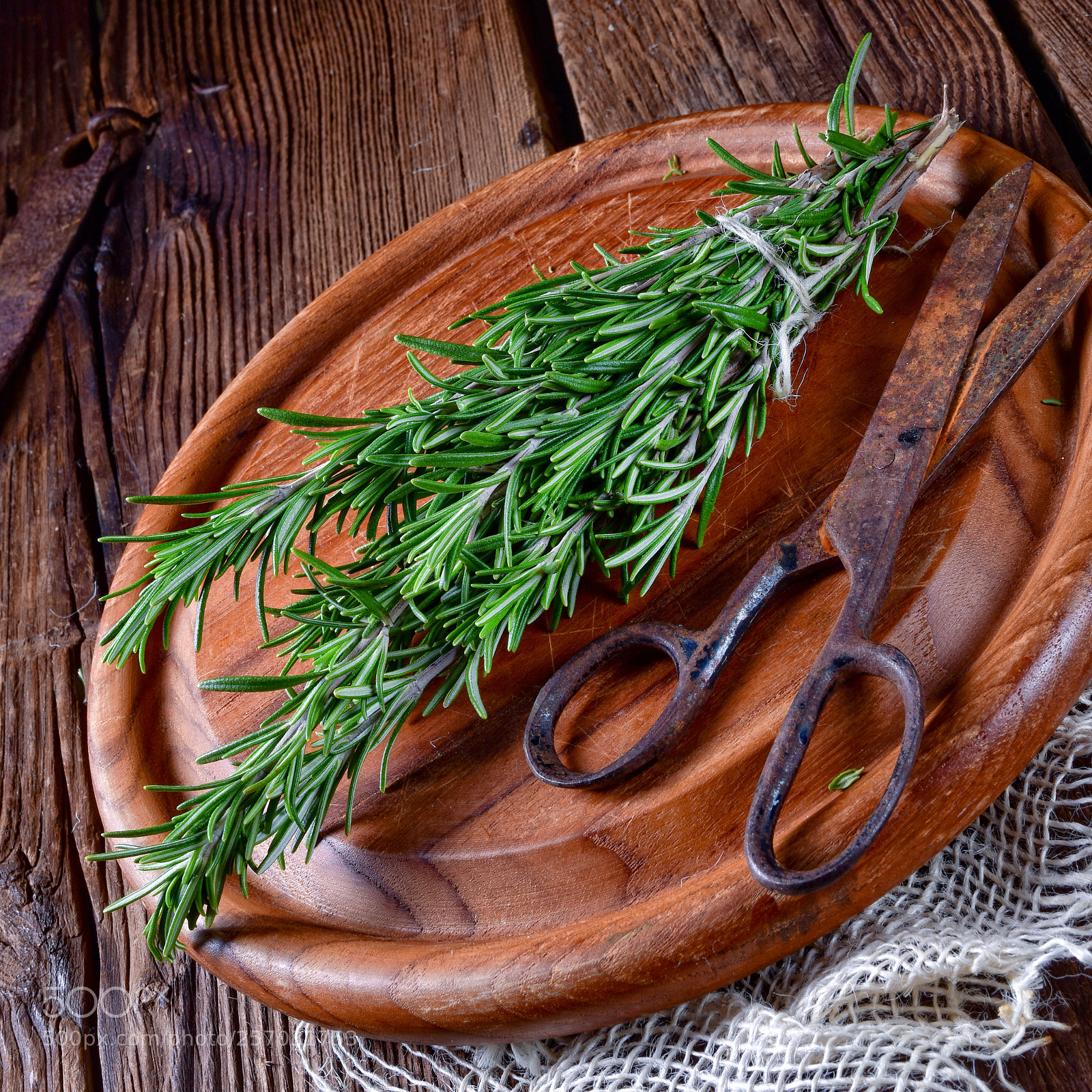 Nikon D810 sample photo. Rosmarin (rosmarinus officinalis) photography