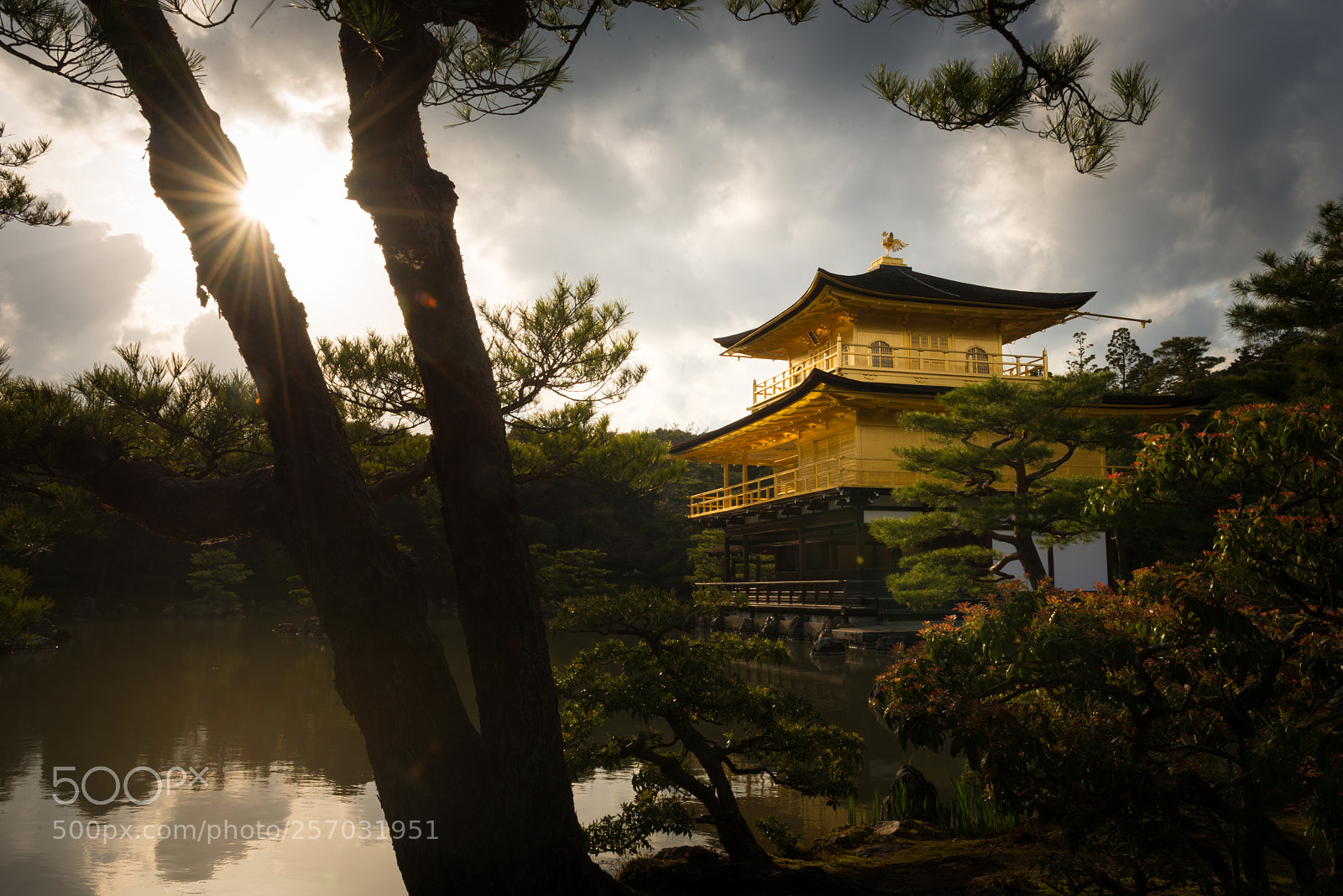 Nikon D800 sample photo. Mystic kinkaku-ji temple photography