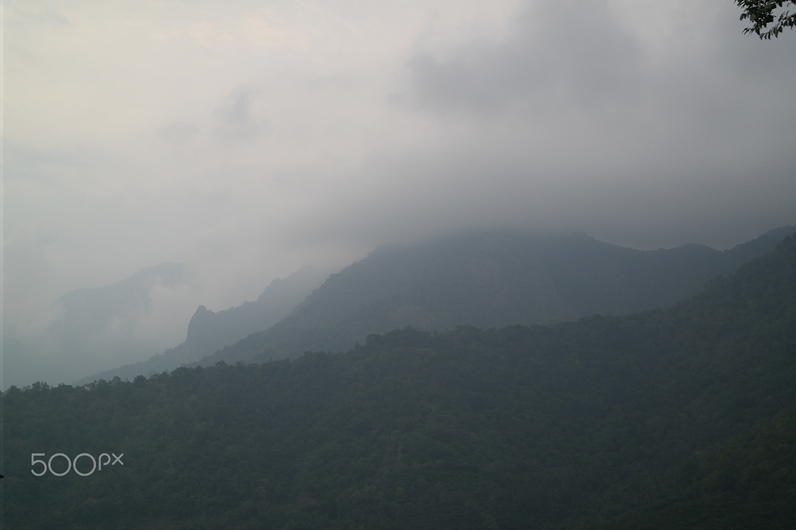 Samsung NX2000 sample photo. Sit relax and have a cup of cofee photography