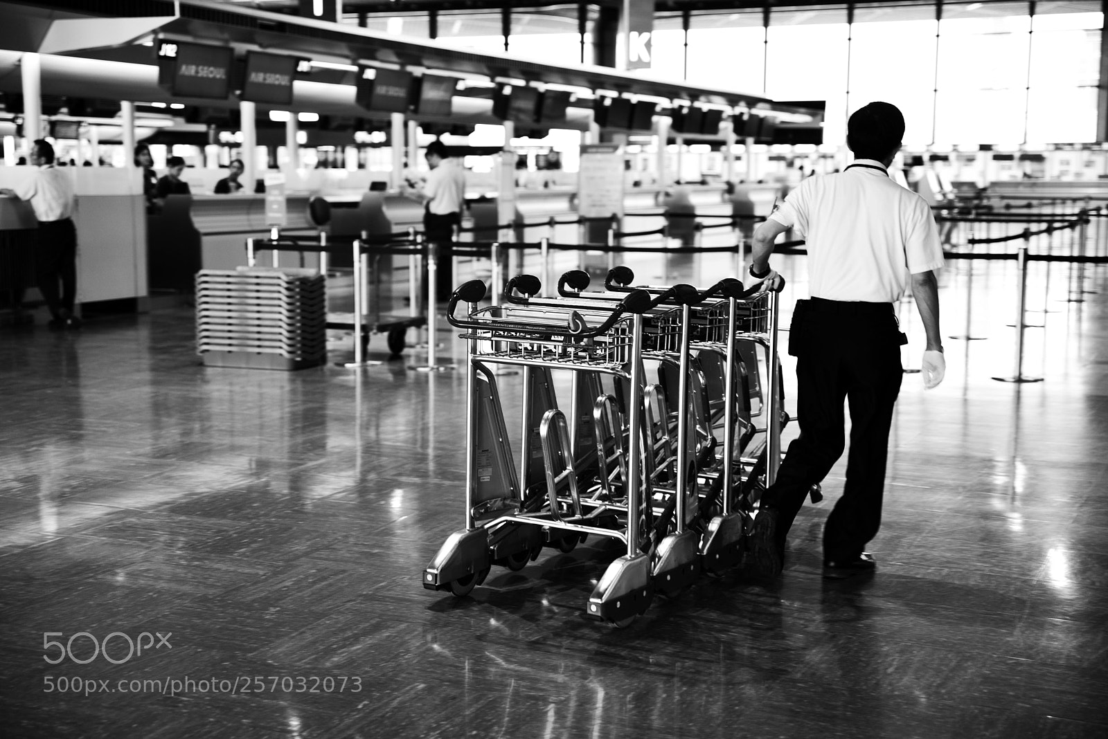 Nikon D750 sample photo. Narita airport photography