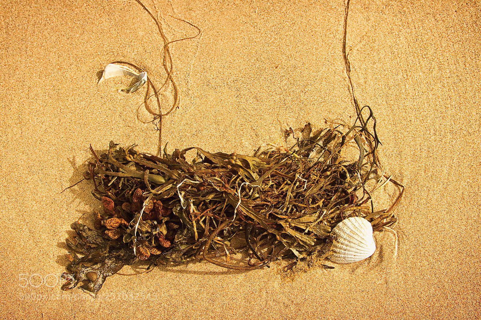 Canon EOS 7D sample photo. Tangle o' the isles photography