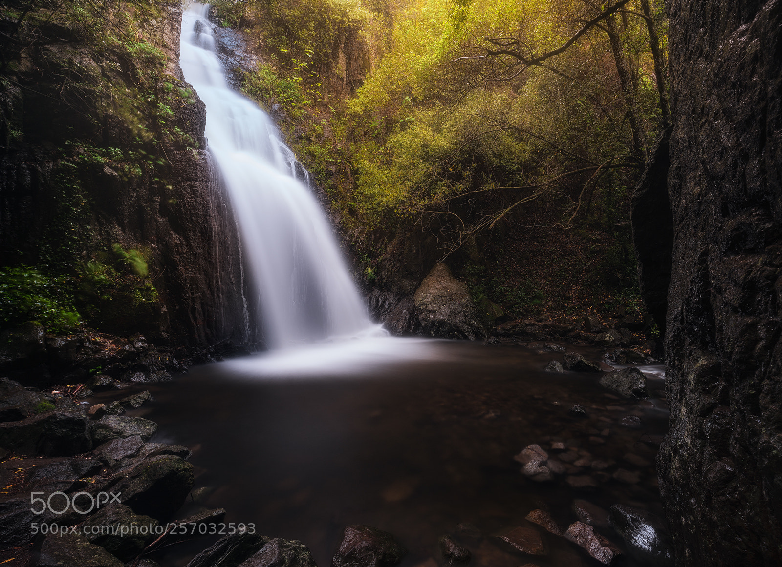 Sony a7R II sample photo. The enchanted world photography