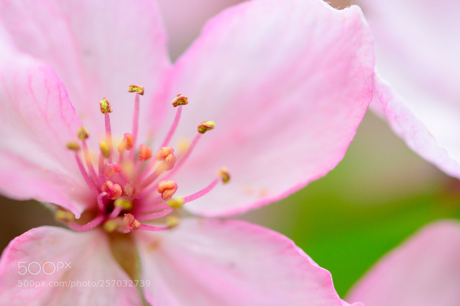 Nikon D7100 sample photo. Polen photography