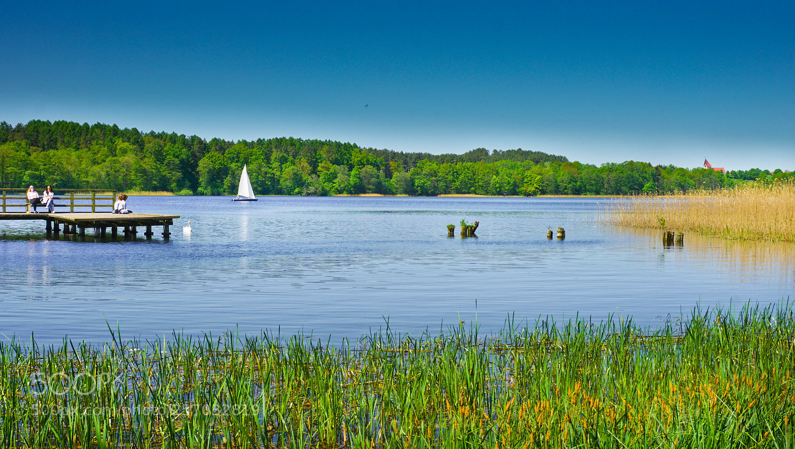 Sony a6000 sample photo. Uwm -kortowo -olsztyn photography