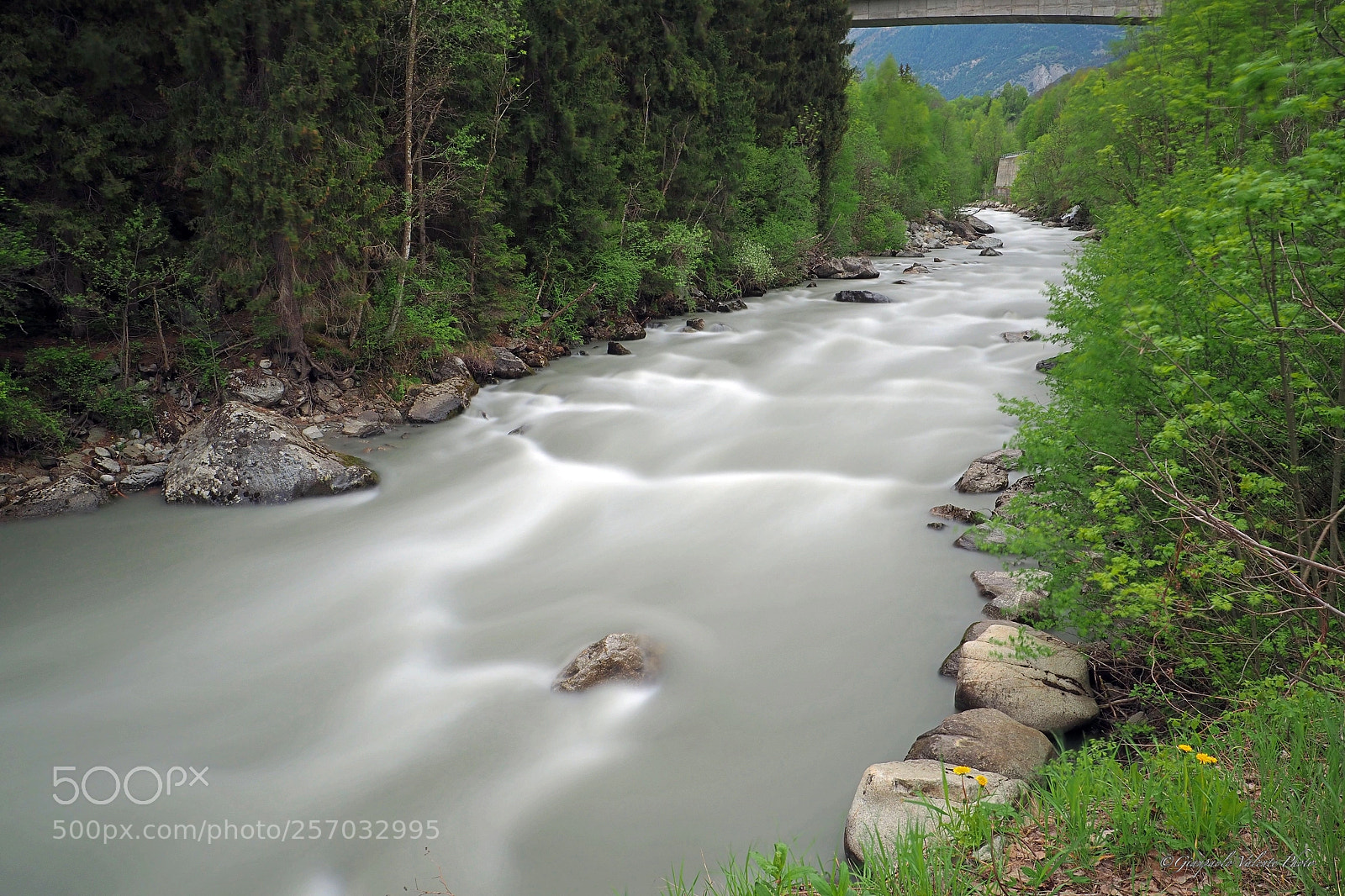 Olympus OM-D E-M5 II sample photo. Fiume setoso... photography