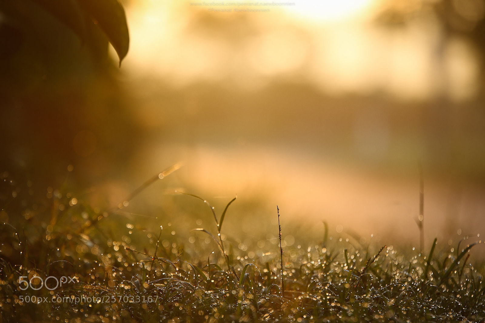 Canon EOS 7D Mark II sample photo. Before the sun gets photography