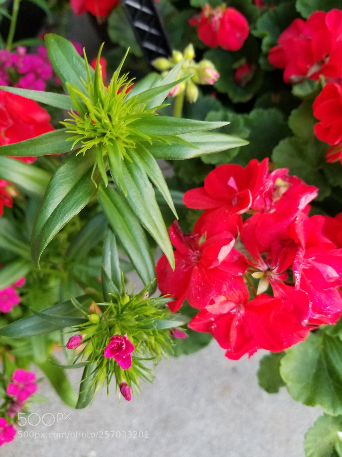 Samsung Galaxy S8+ sample photo. Brightness photography