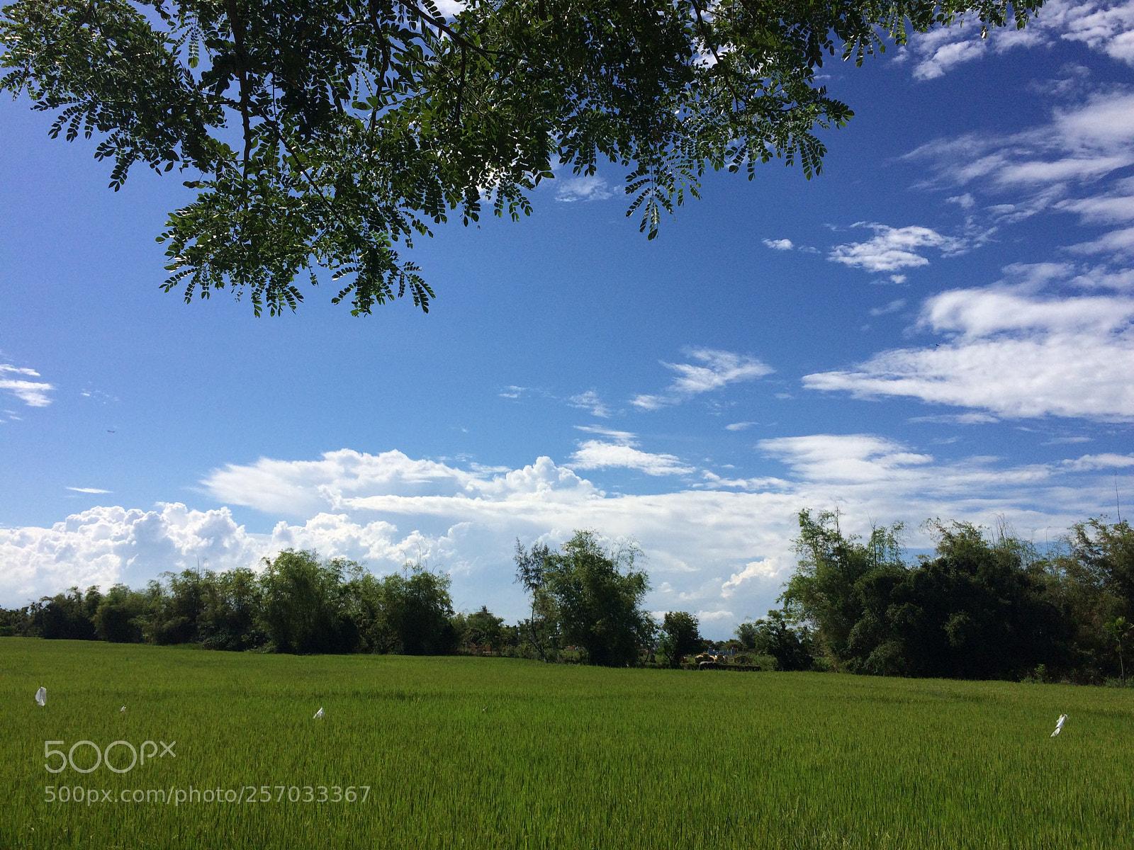 Apple iPhone 5s sample photo. A walk by countryside photography