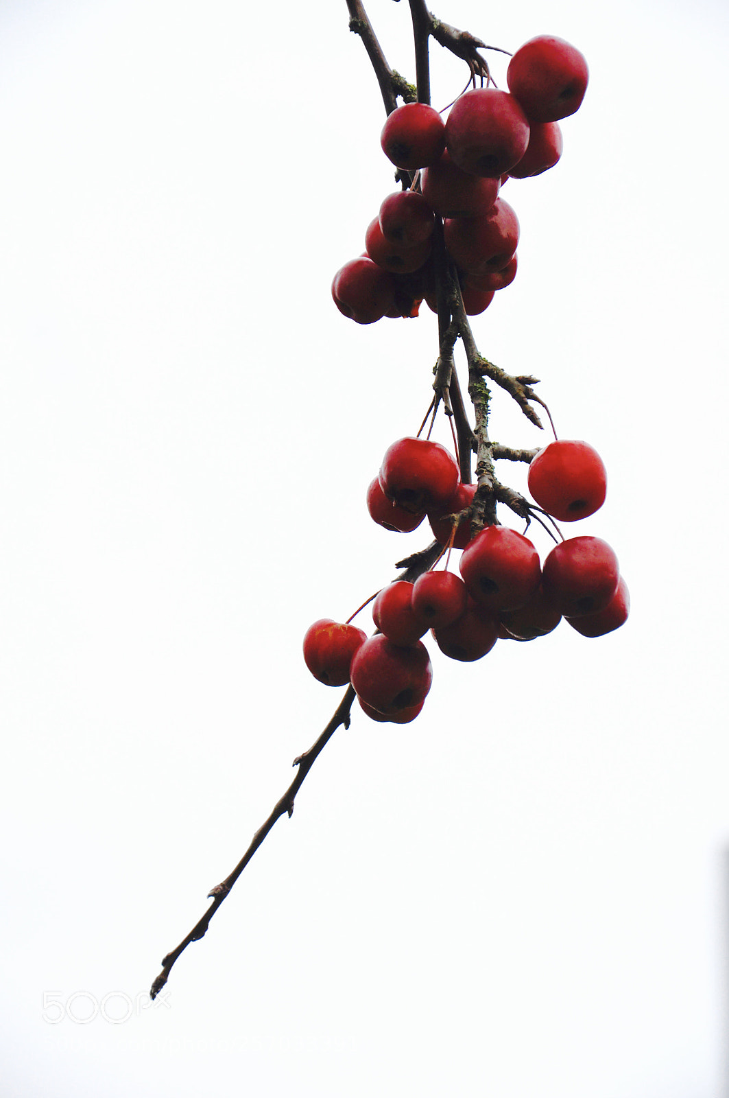 Nikon D90 sample photo. Untitled photography