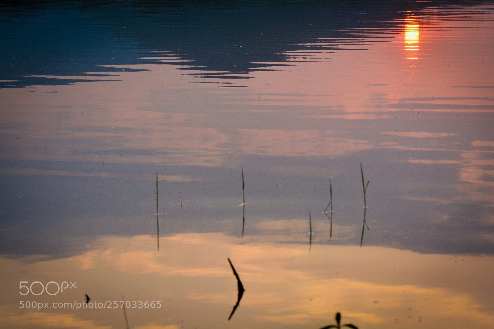 Nikon D7100 sample photo. Sunset on the lake photography