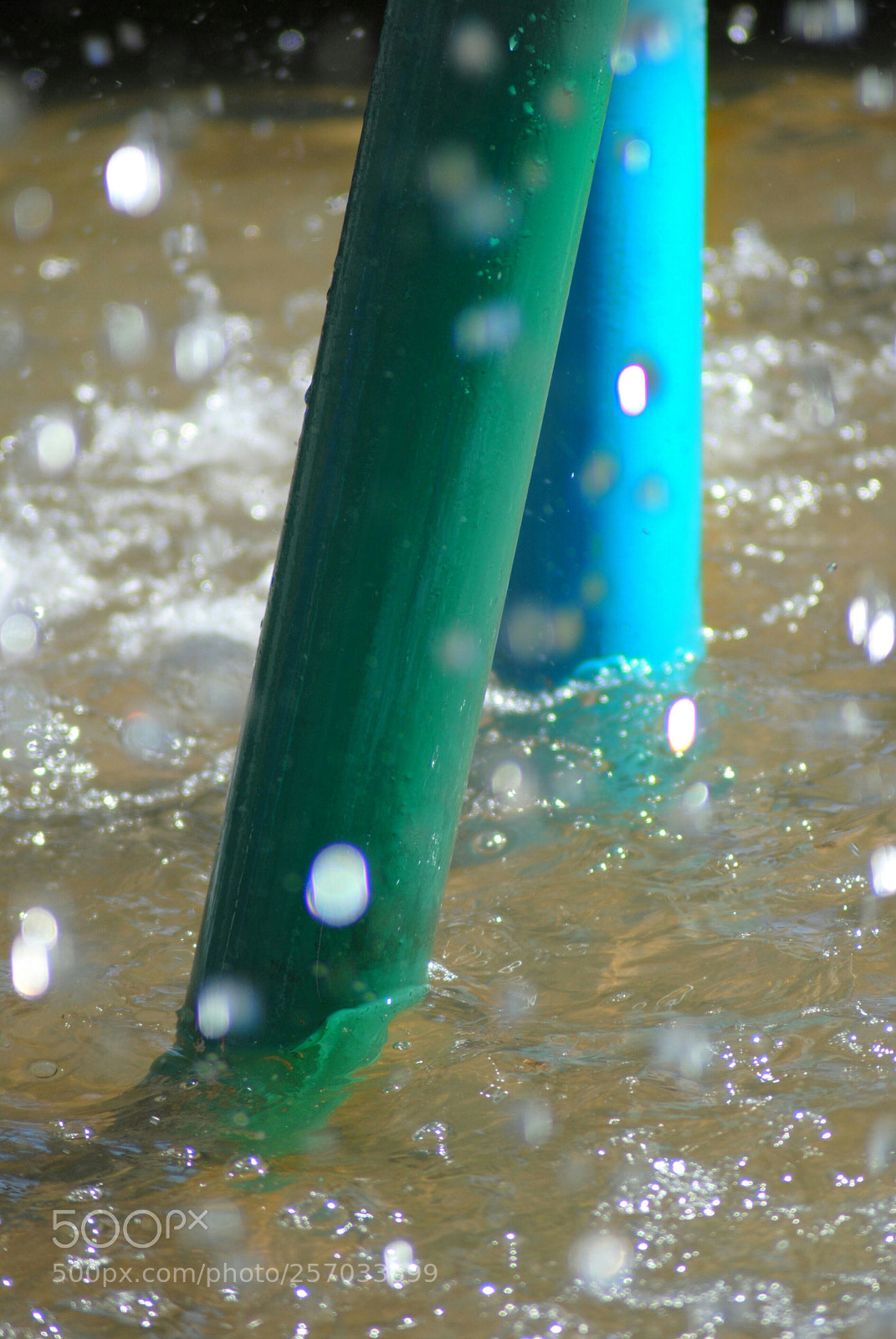 Nikon D3000 sample photo. Untitled photography