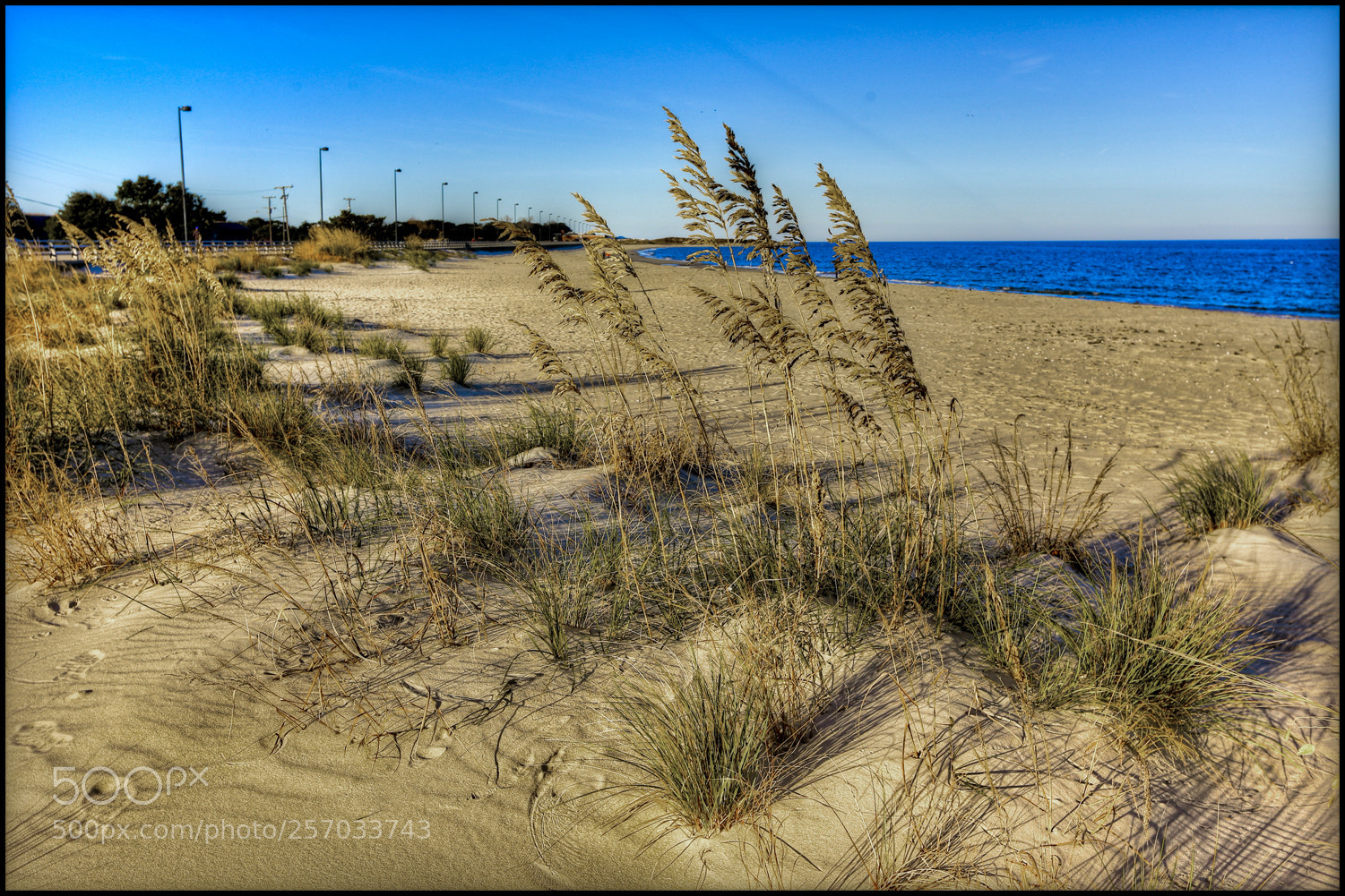 Canon EOS 6D sample photo. Winter's day photography