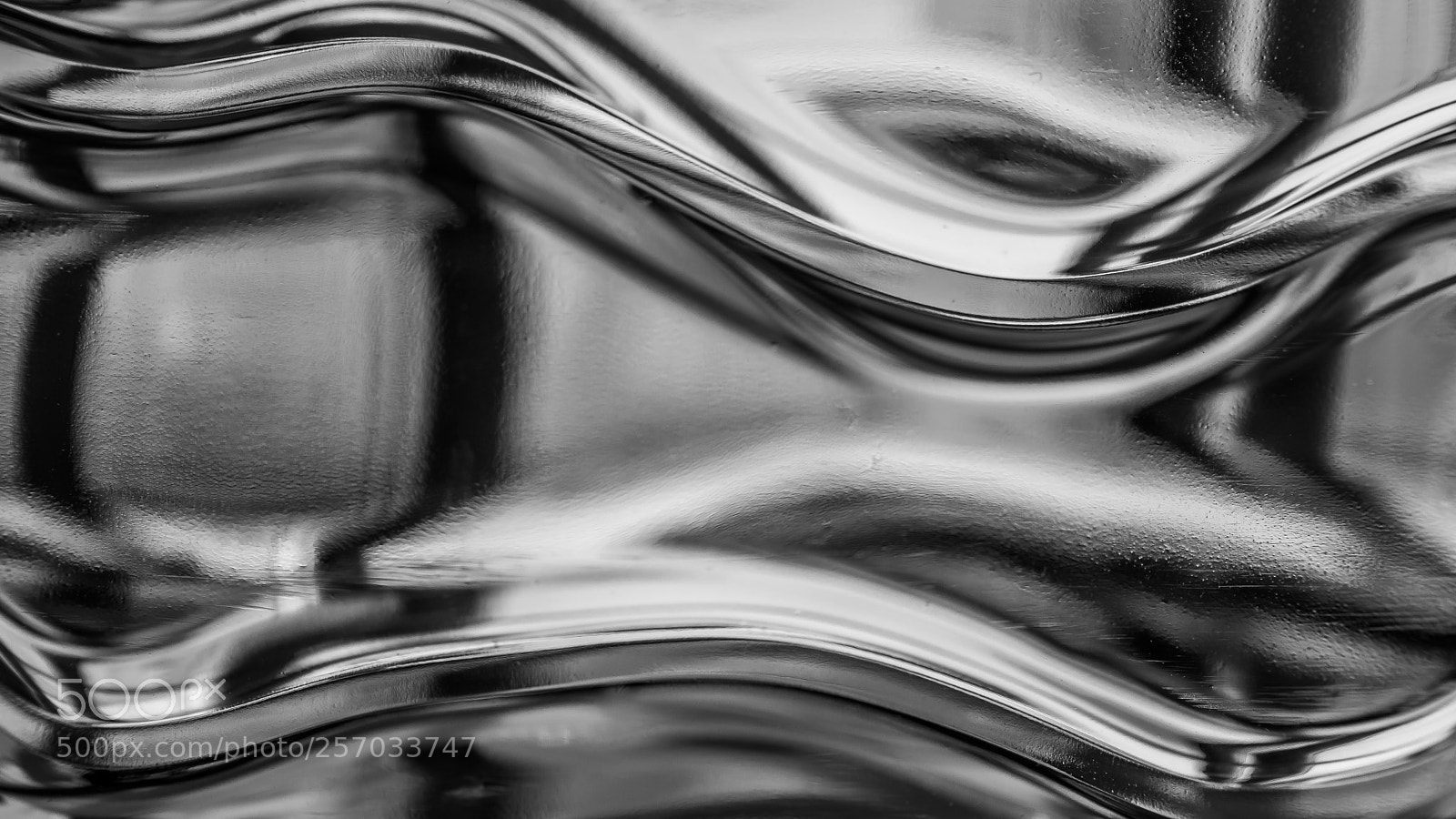 Nikon D5500 sample photo. Macro in b w photography