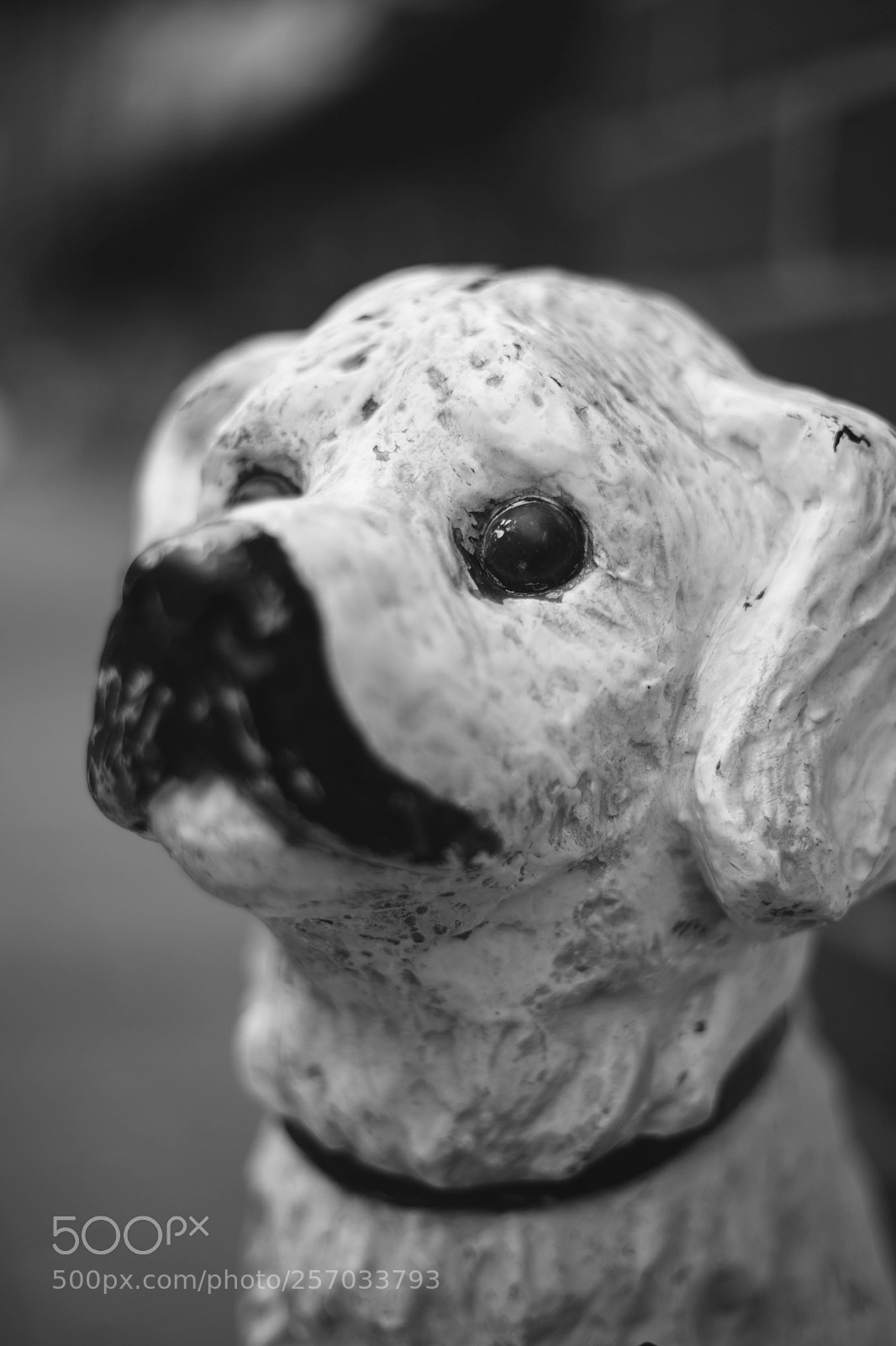 Canon EOS 5D Mark II sample photo. Mg photography