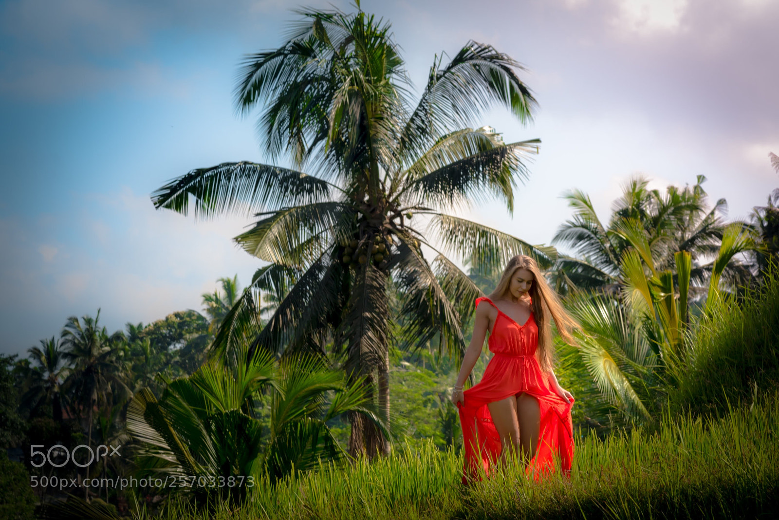 Nikon D750 sample photo. Red in green photography