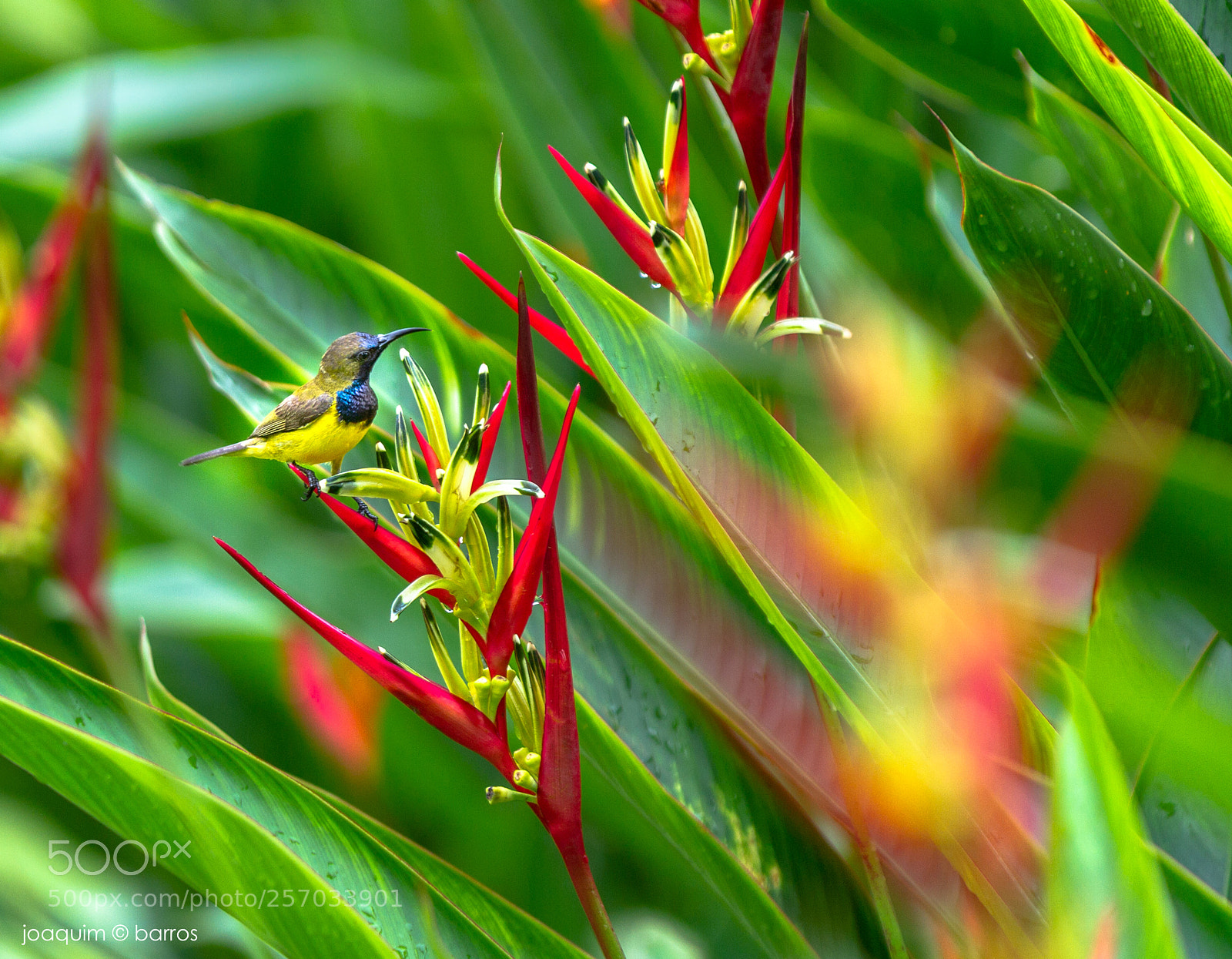 Canon EOS 7D sample photo. Blending photography