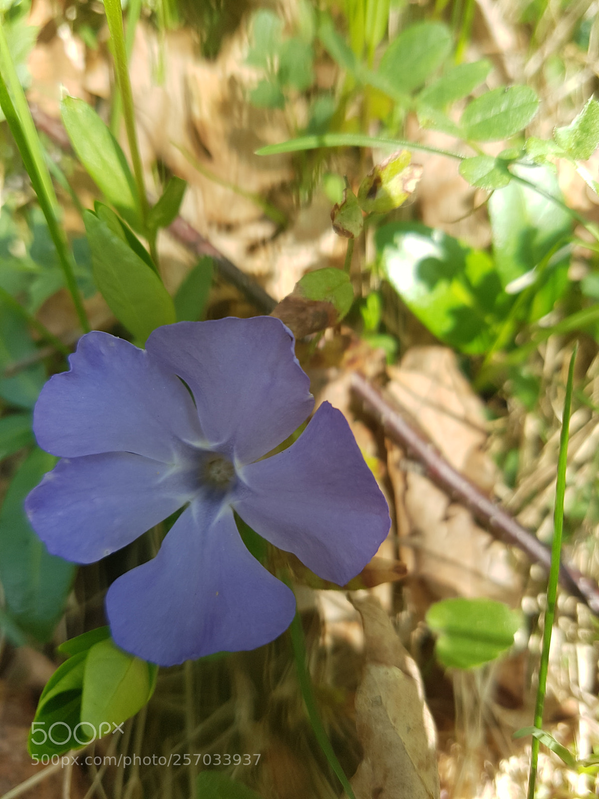 Samsung Galaxy S7 sample photo. Untitled photography