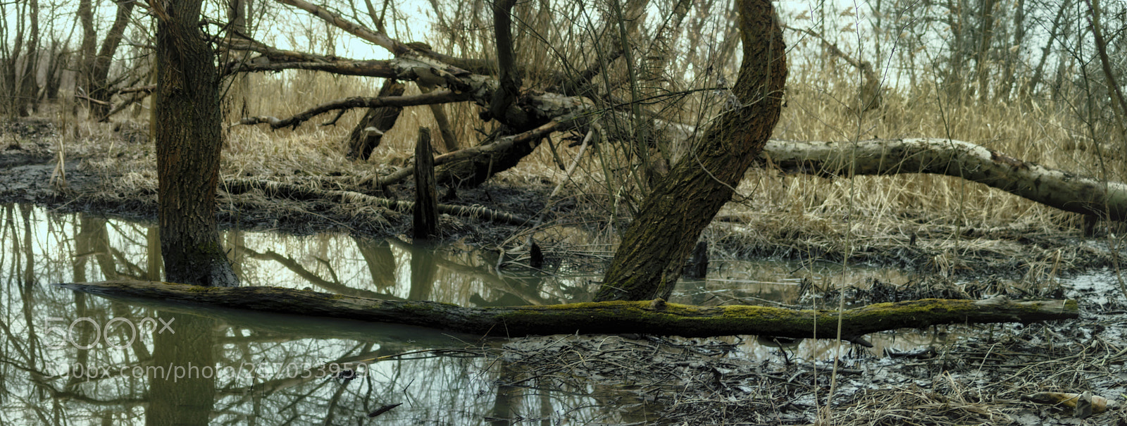 Sony SLT-A37 sample photo. Etude#180331pnr1. photography