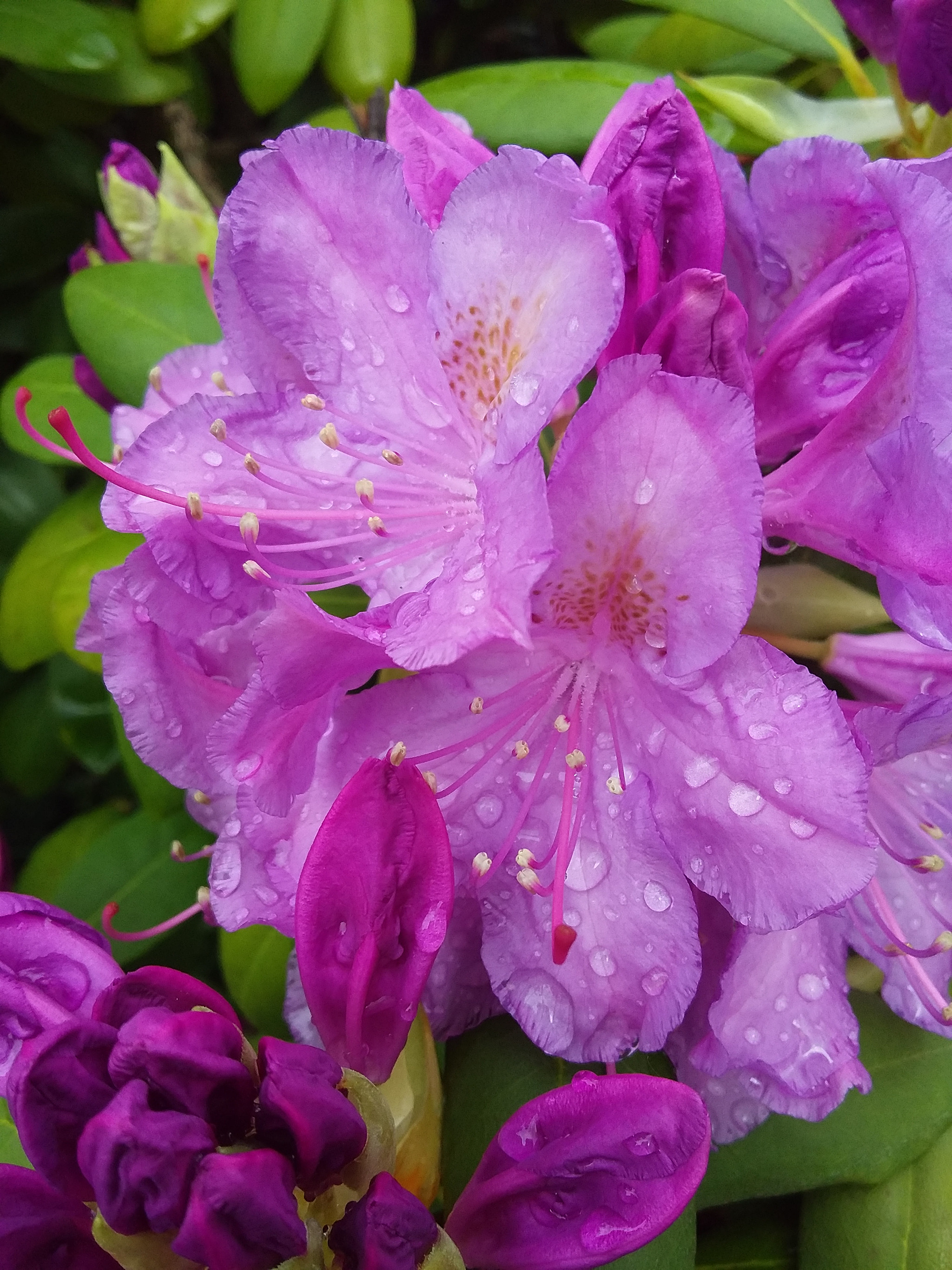 Samsung Galaxy J2 sample photo