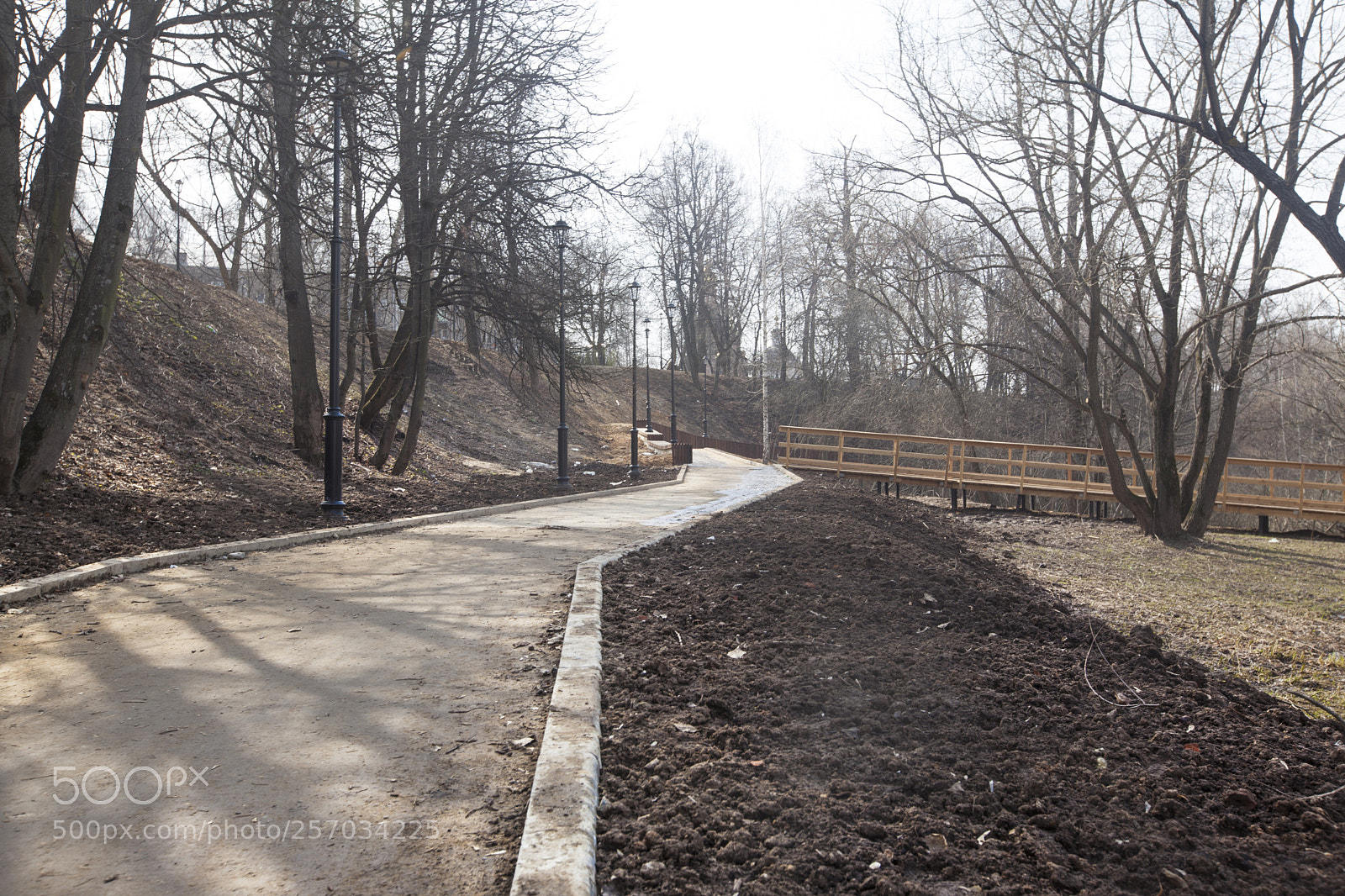Canon EOS 5D Mark II sample photo. утро photography