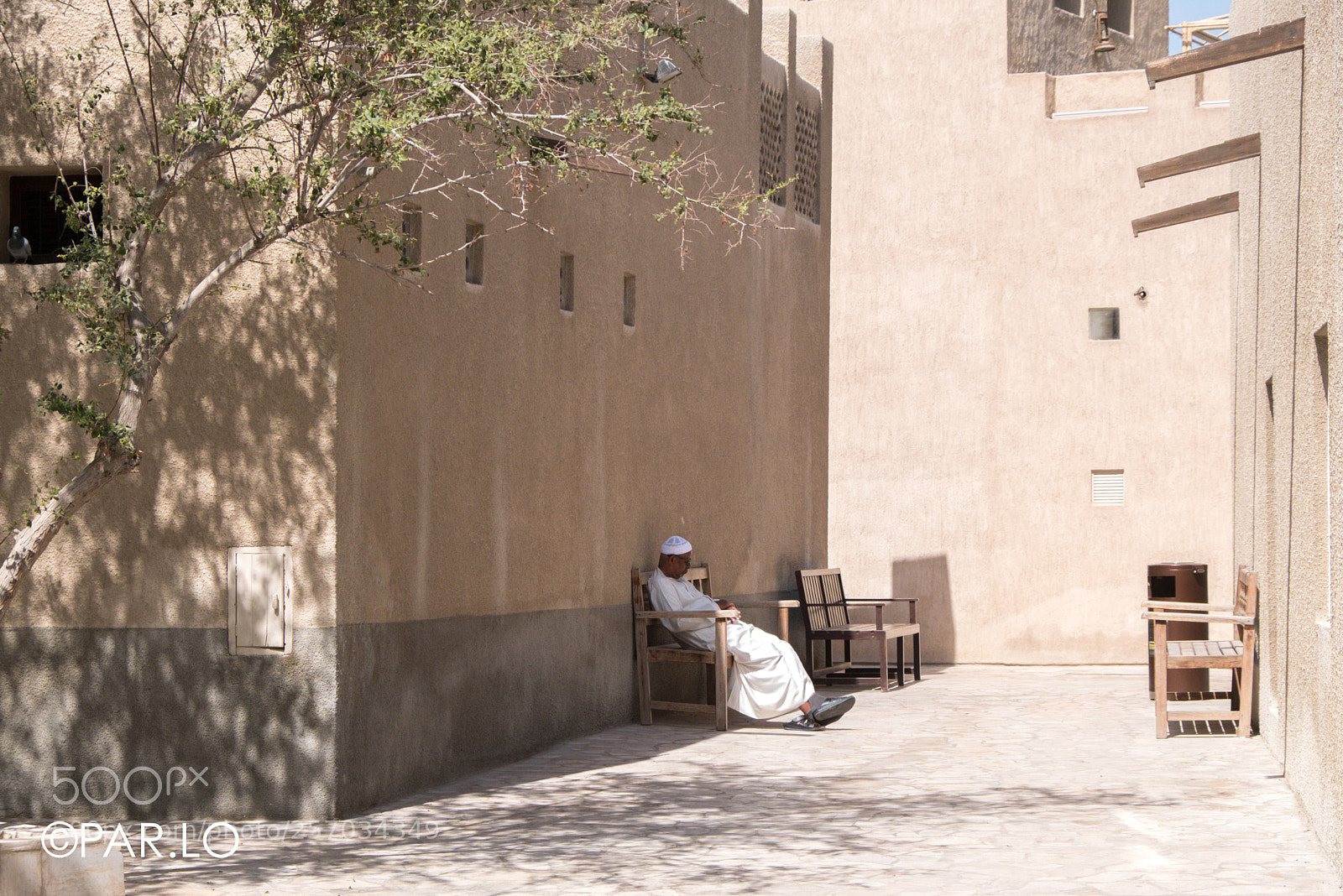 Fujifilm X-E3 sample photo. Afternoon nap - dubai photography
