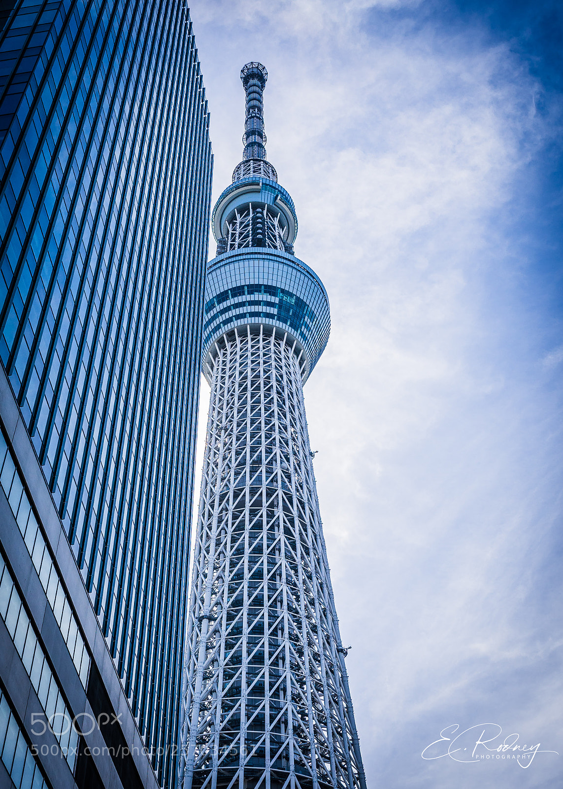 Sony a7 II sample photo. Dsc04886-2.jpg photography