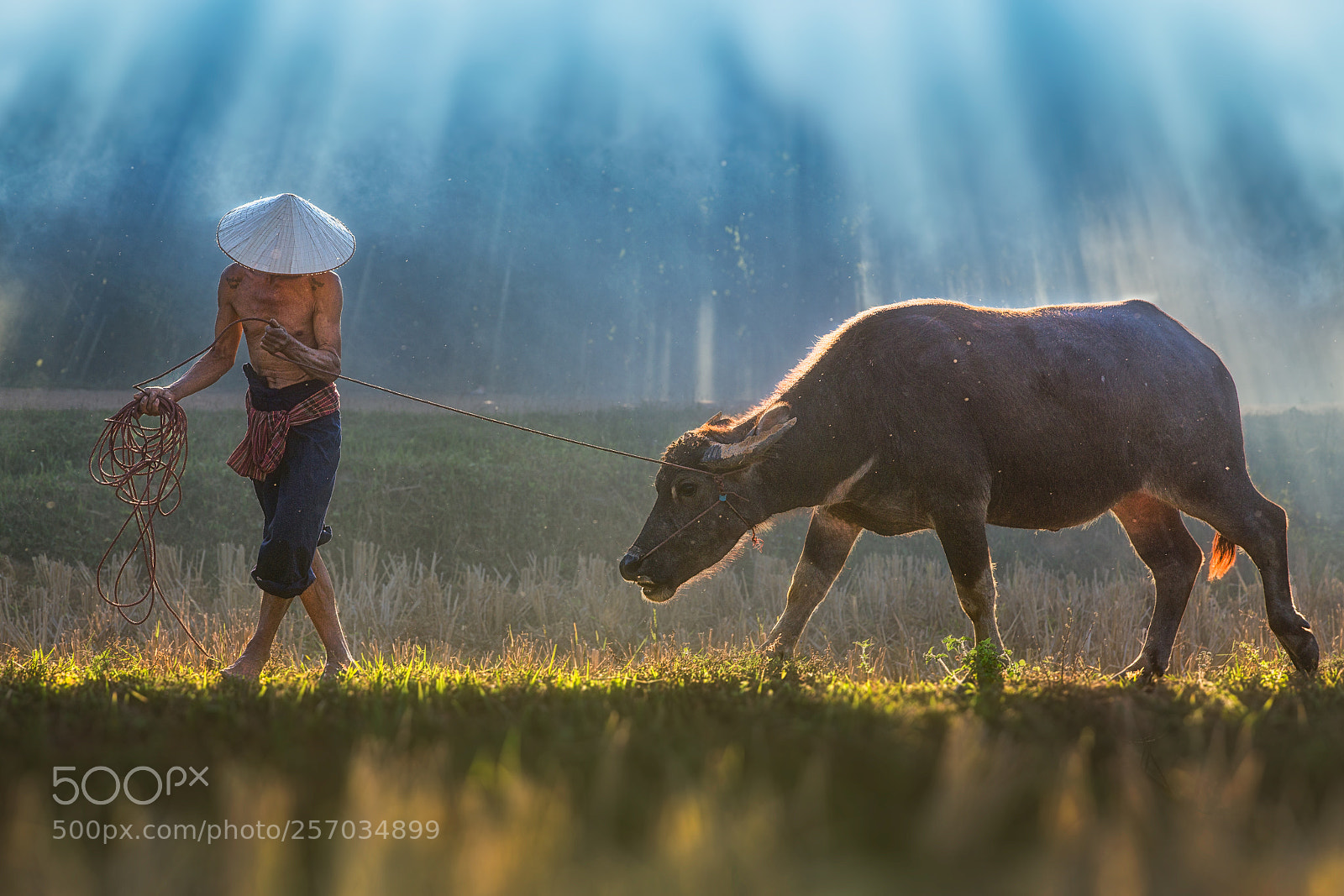 Canon EOS 6D sample photo. Asian farmer with buffalo photography
