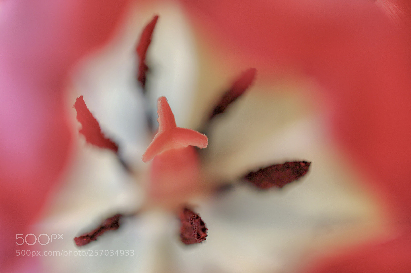 Canon EOS M3 sample photo. Untitled photography