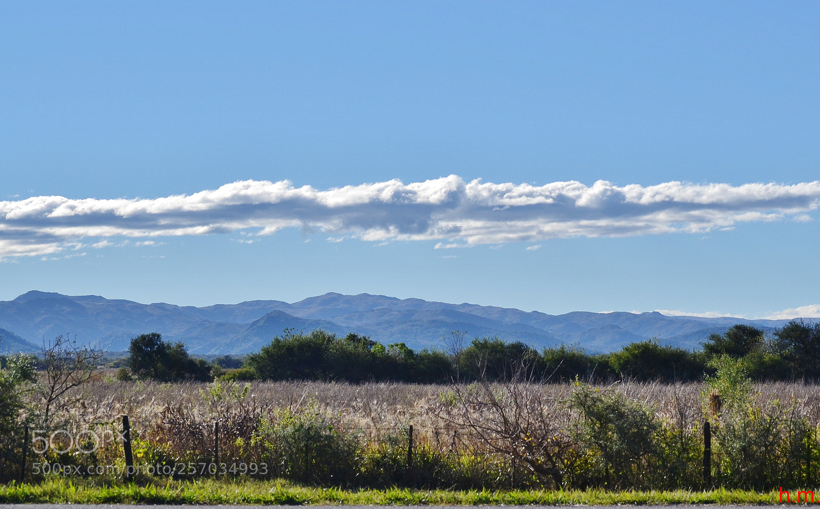 Nikon D3100 sample photo. Cacbco photography