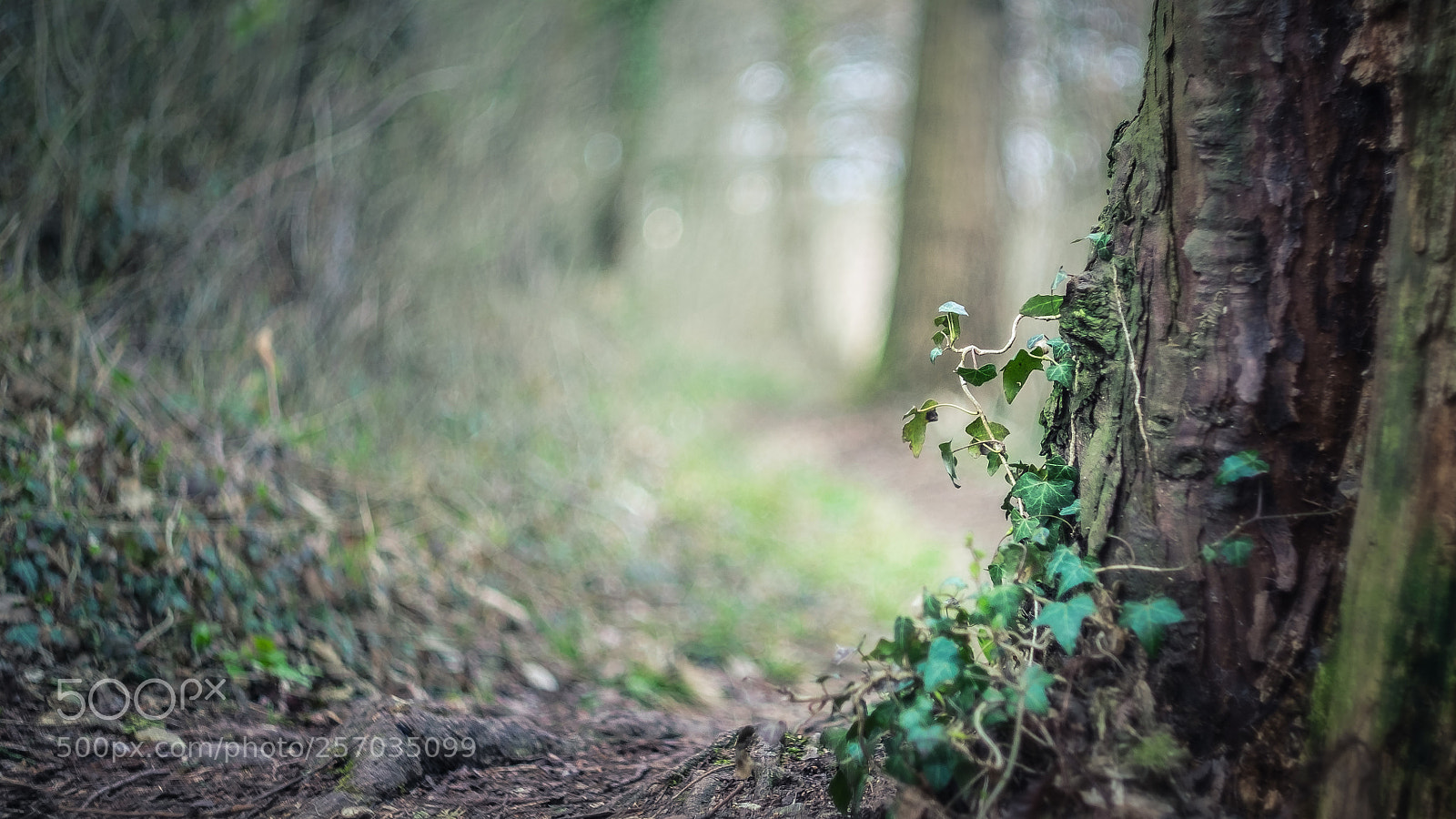 Fujifilm X-T1 sample photo. Welcome to the shire photography