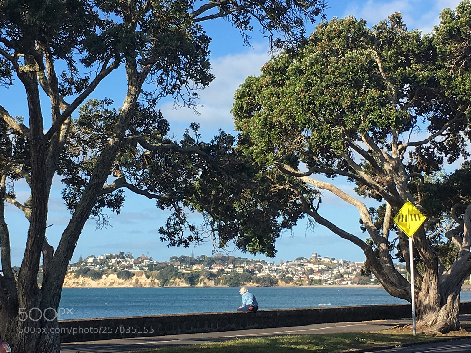 Apple iPhone SE sample photo. Kohimarama bay, auckland,new zealand photography