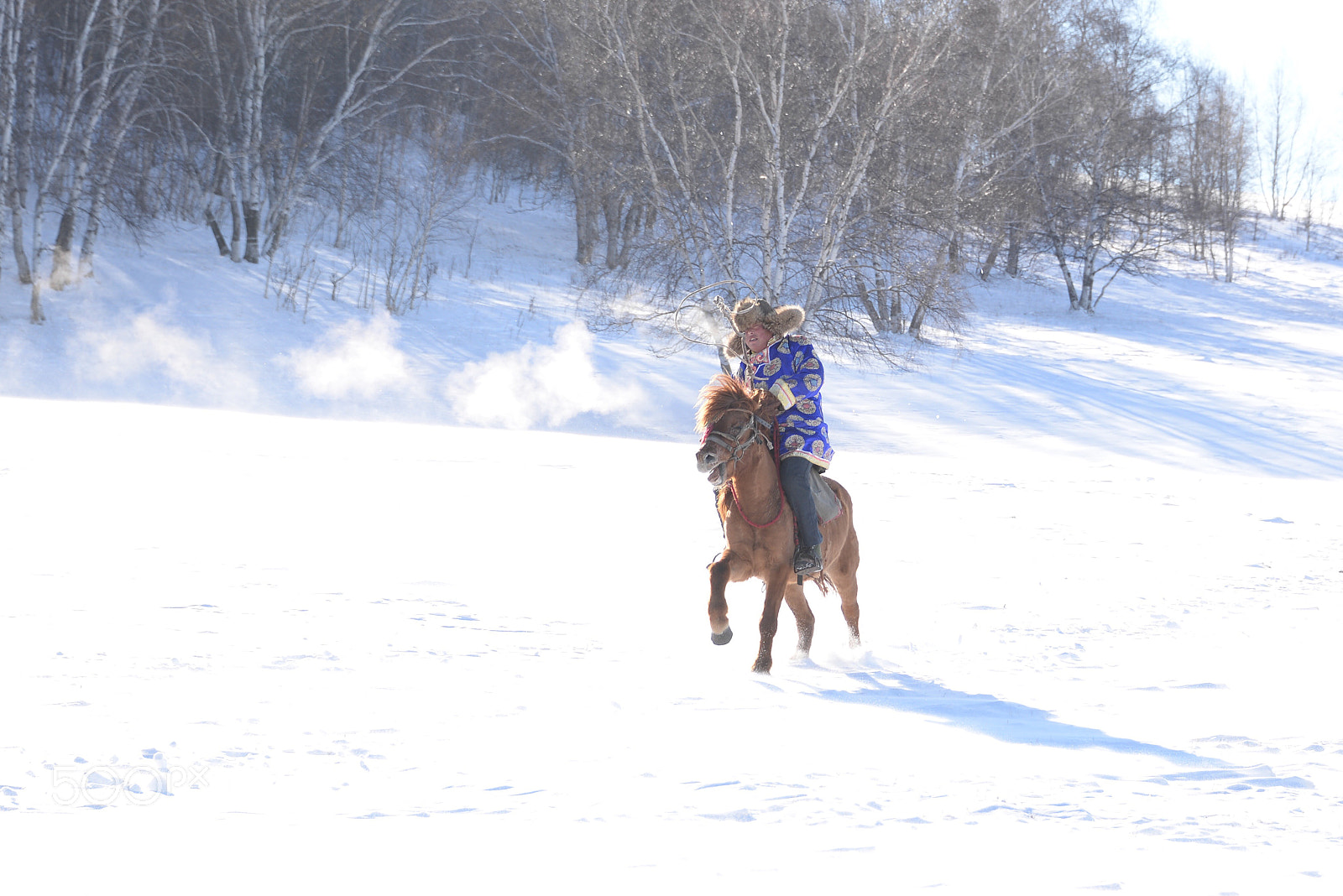 Nikon D610 sample photo. 垻上跑馬
horse race photography
