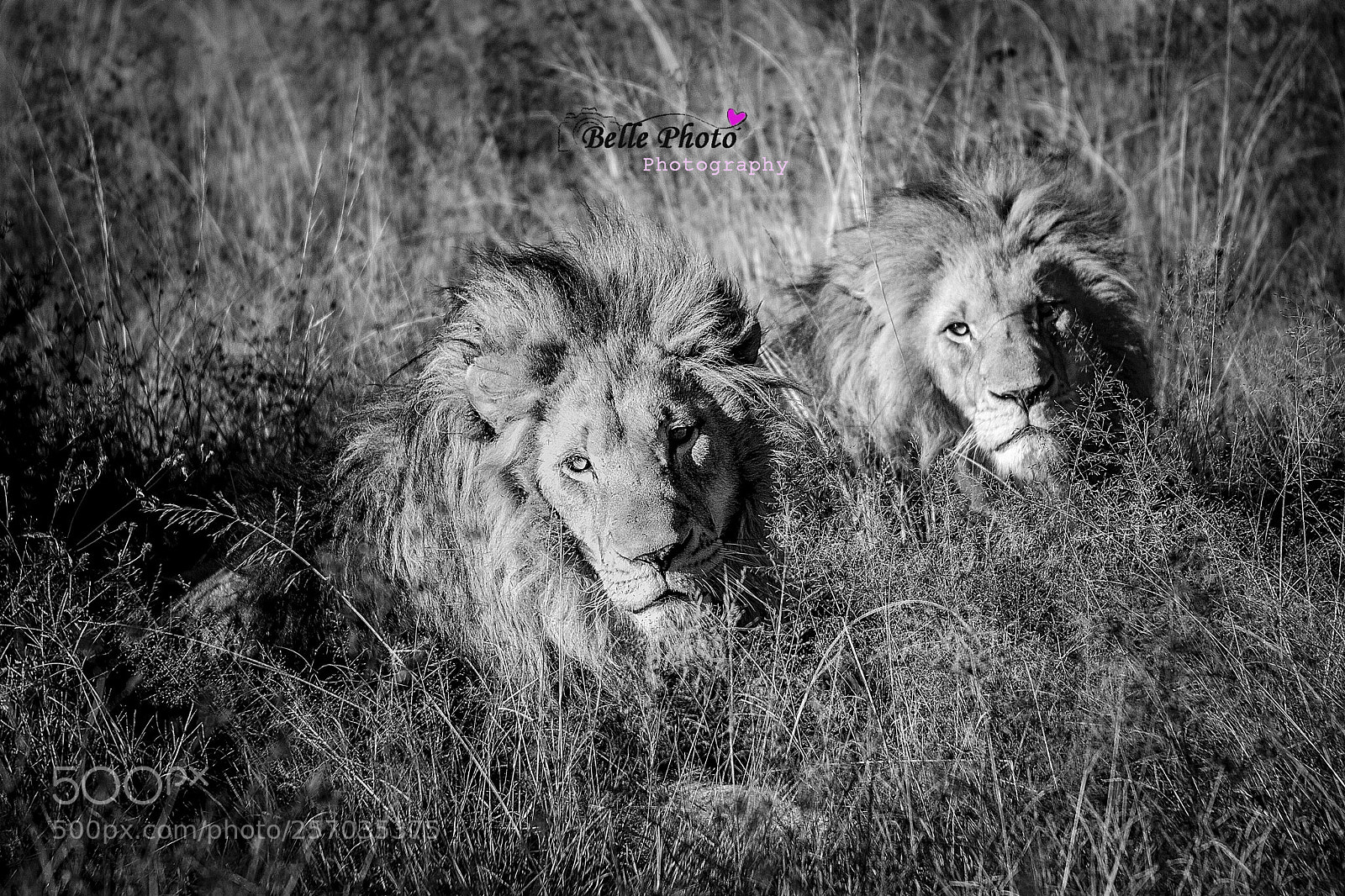 Canon EOS 7D sample photo. Img photography