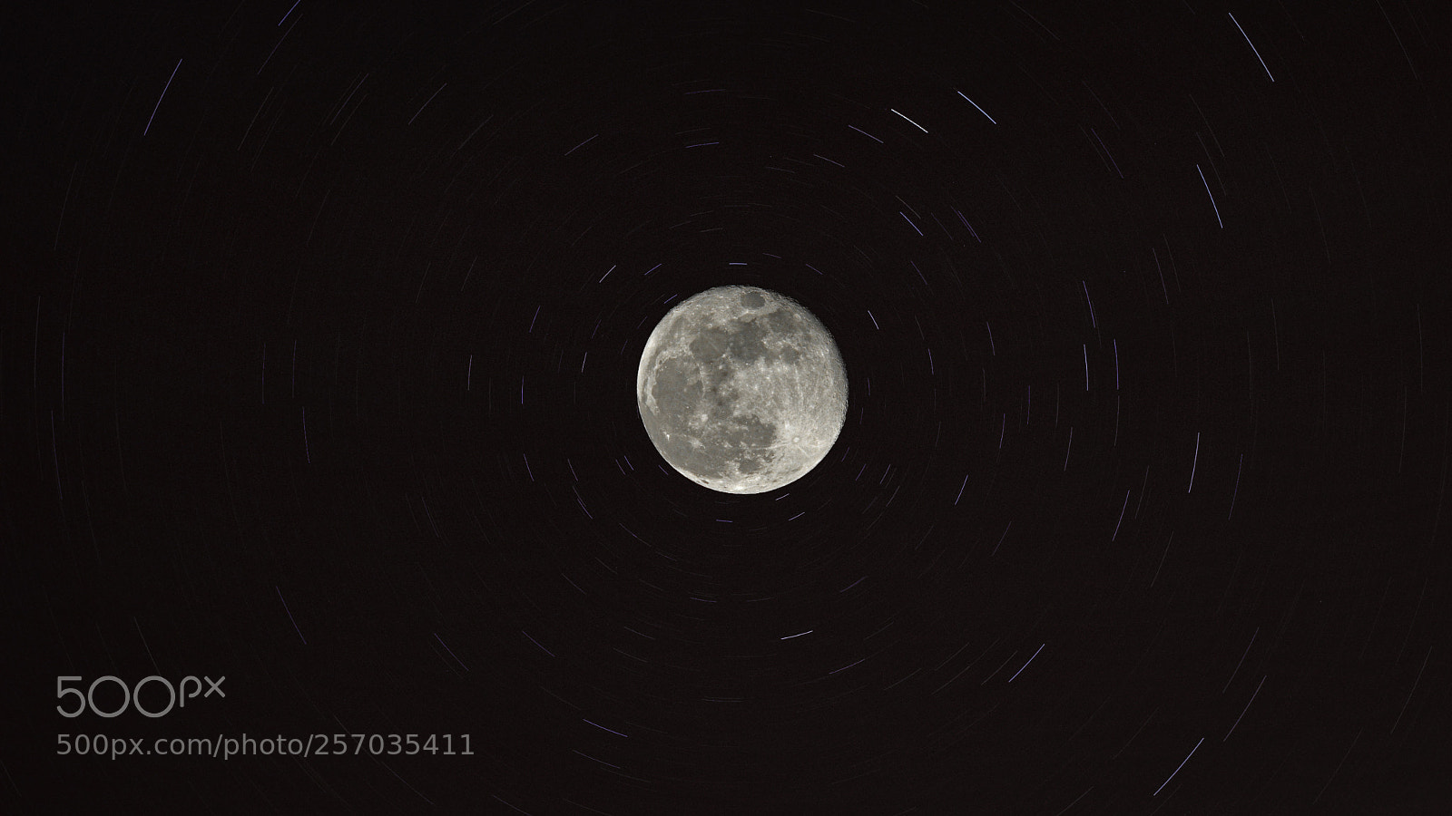 Nikon D3200 sample photo. Pole moon photography