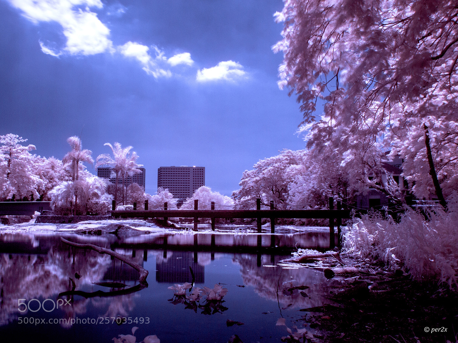 Olympus PEN E-PL3 sample photo. Ninoy aquino parks and photography