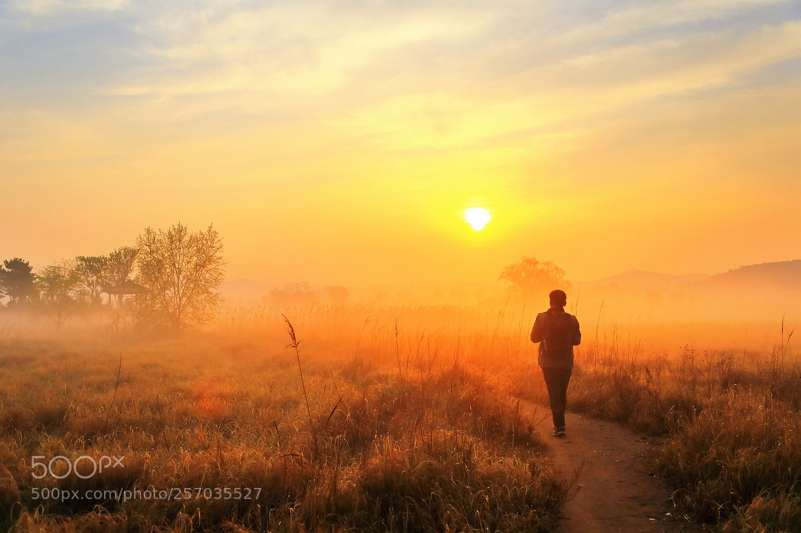 Canon EOS 6D sample photo. Morning walk photography