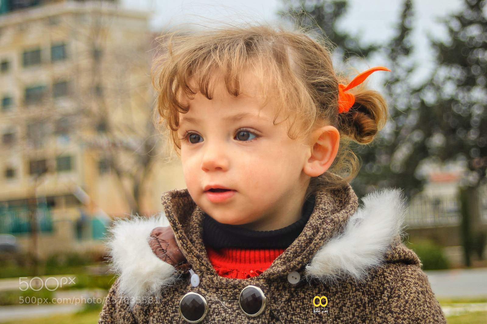 Canon EOS 1100D (EOS Rebel T3 / EOS Kiss X50) sample photo. شو حلو حبيبي شو حلو  ها القمر شوفوا ما اجمله  بس ا photography