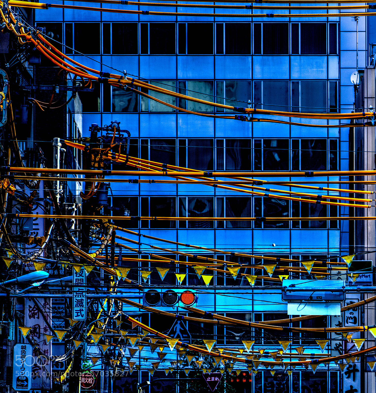 Sony a6000 sample photo. Yellows on blue photography