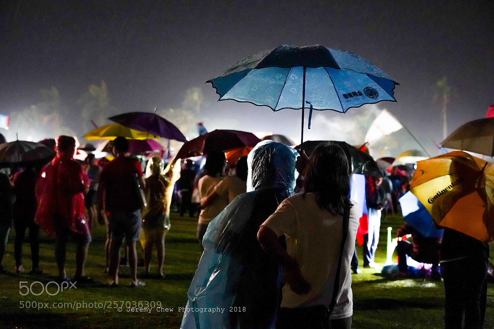 Sony a7 III sample photo. Raining photography