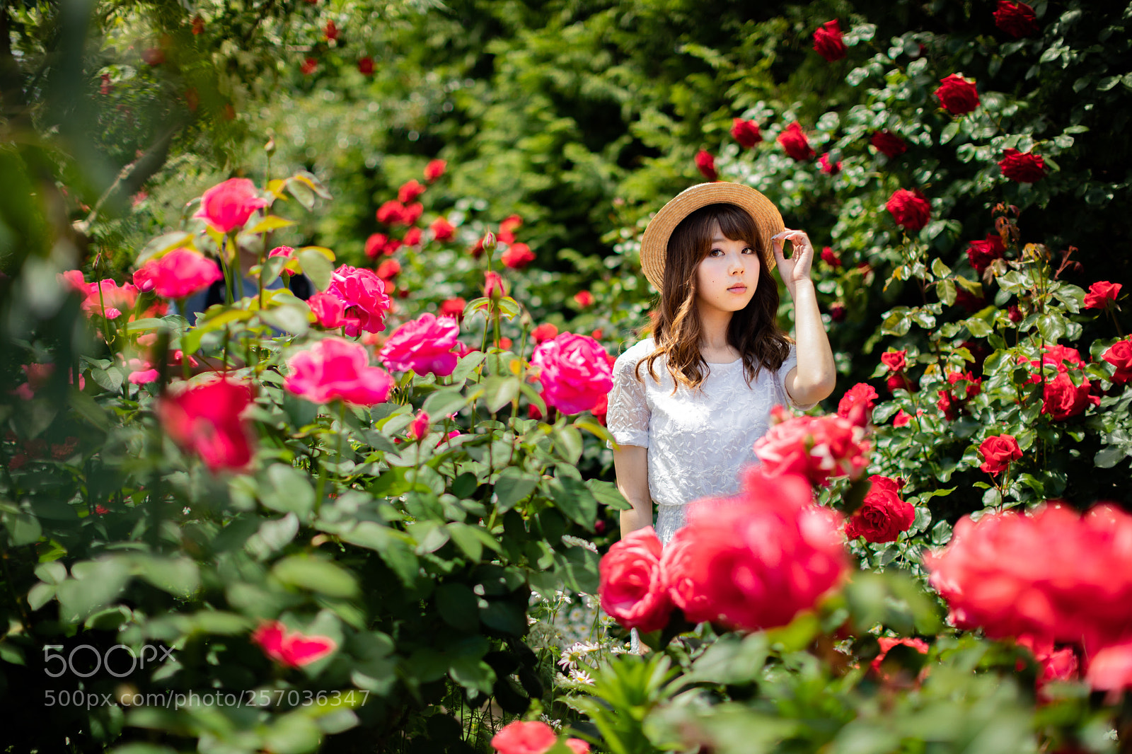Canon EOS 5D Mark IV sample photo. Untitled photography