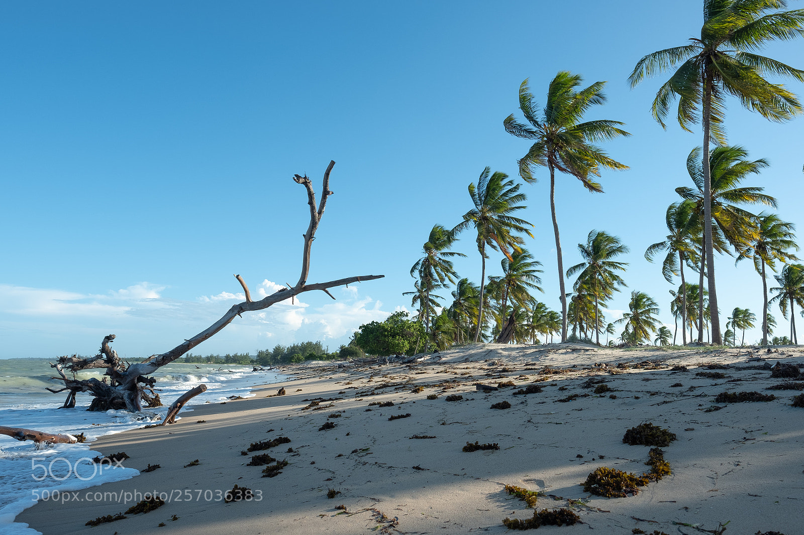 Fujifilm X-T2 sample photo. My favorite beach photography