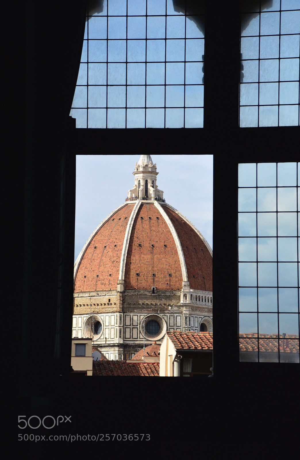 Nikon D3200 sample photo. From a window photography