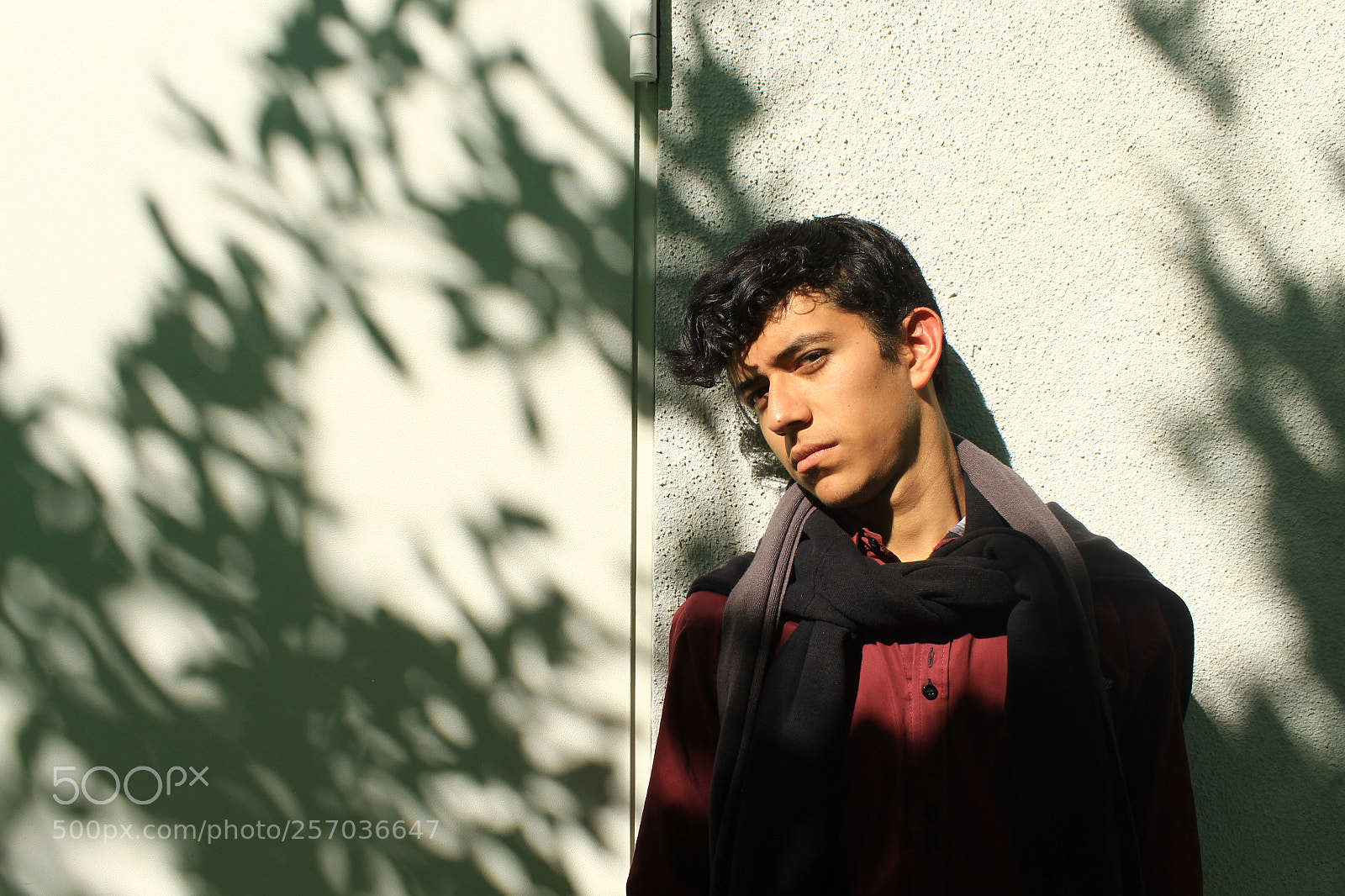 Canon EOS 600D (Rebel EOS T3i / EOS Kiss X5) sample photo. Sunlight and shades photography