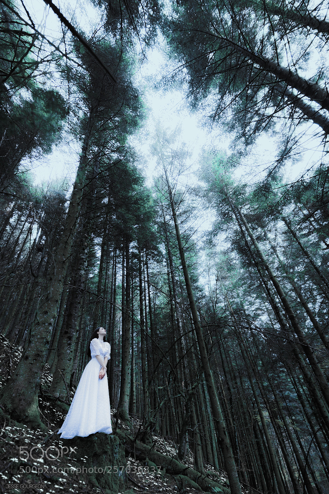 Nikon D750 sample photo. Delicate photography