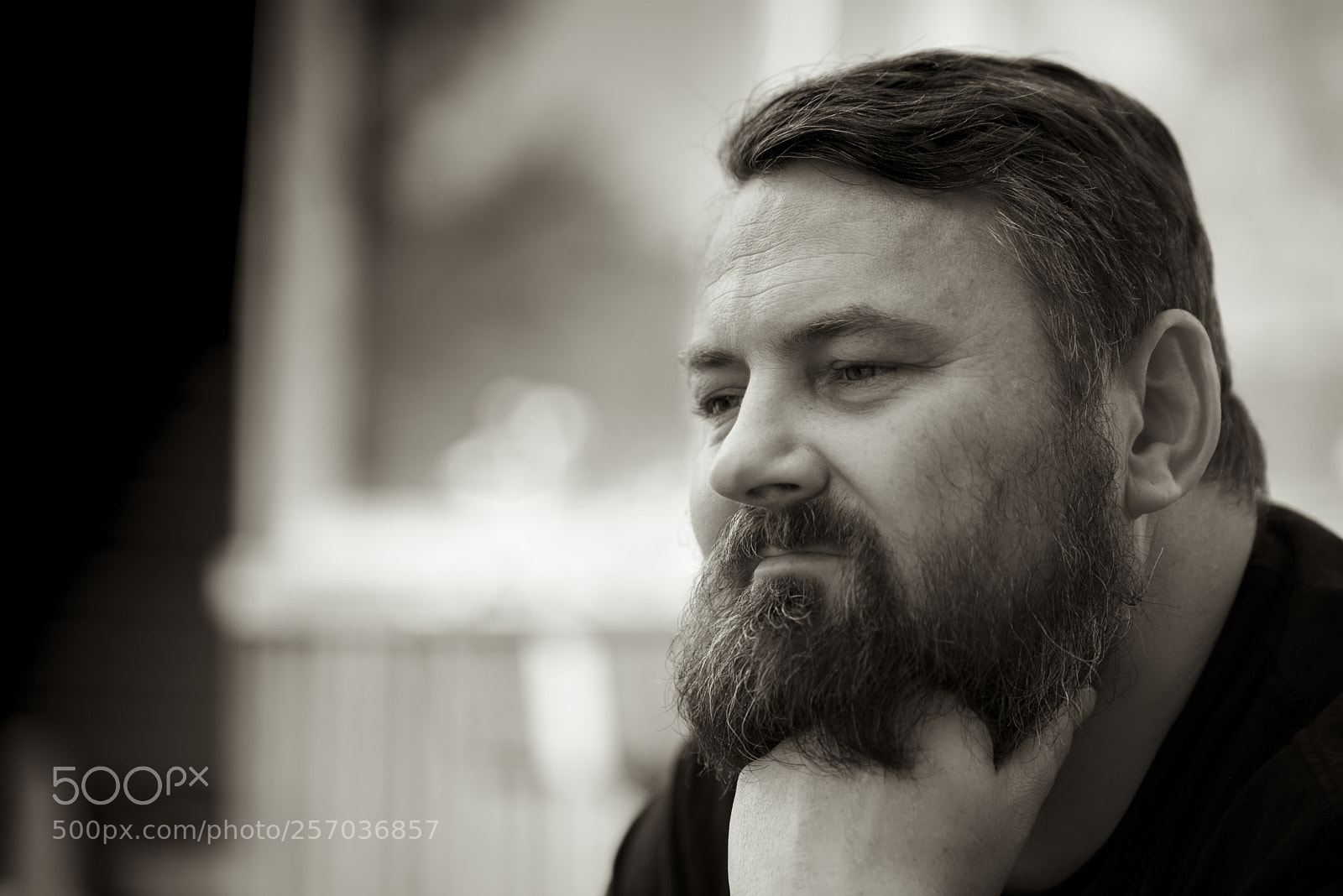 Nikon D750 sample photo. David photography