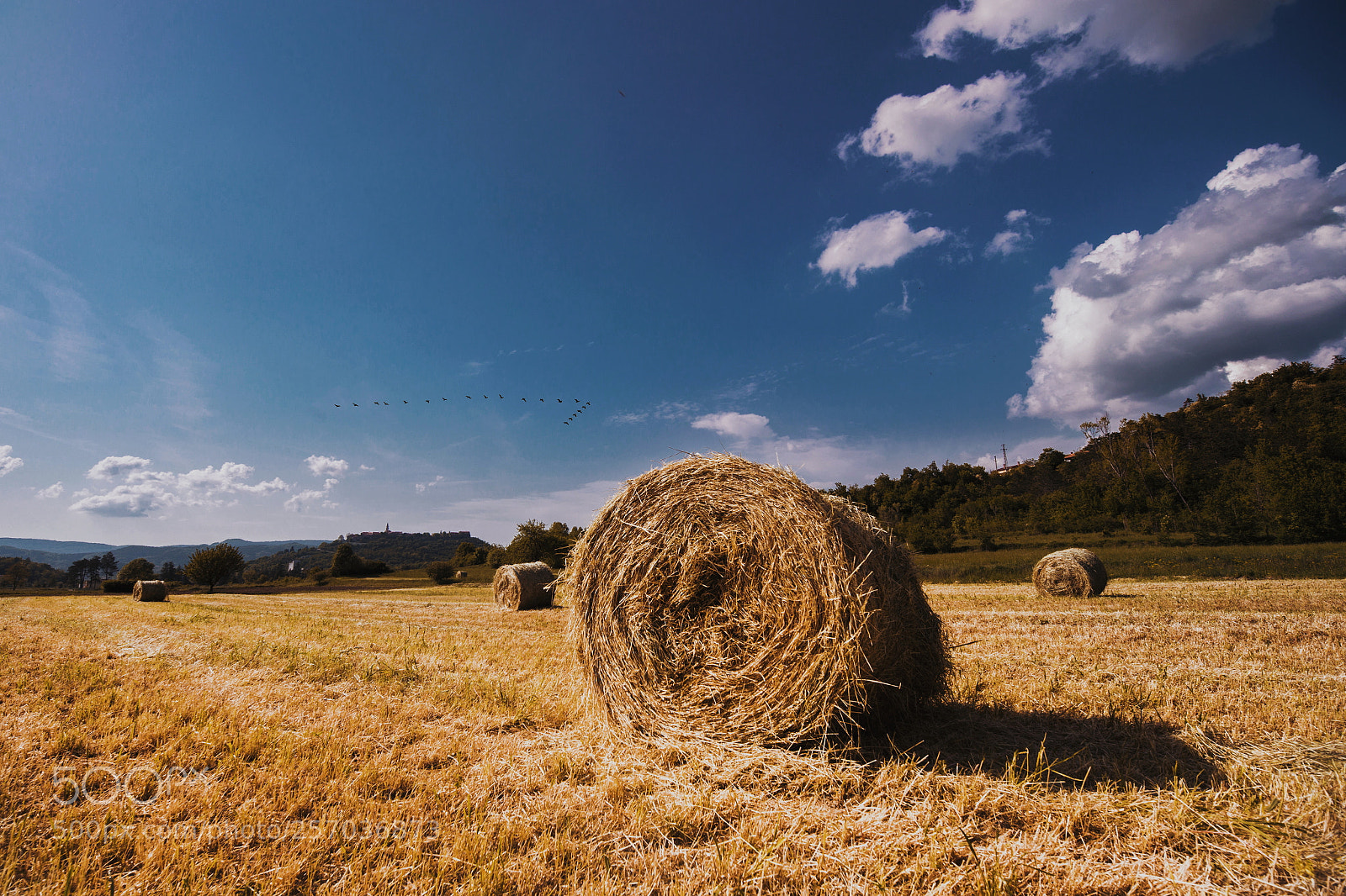 Canon EOS 6D sample photo. Rollin' photography