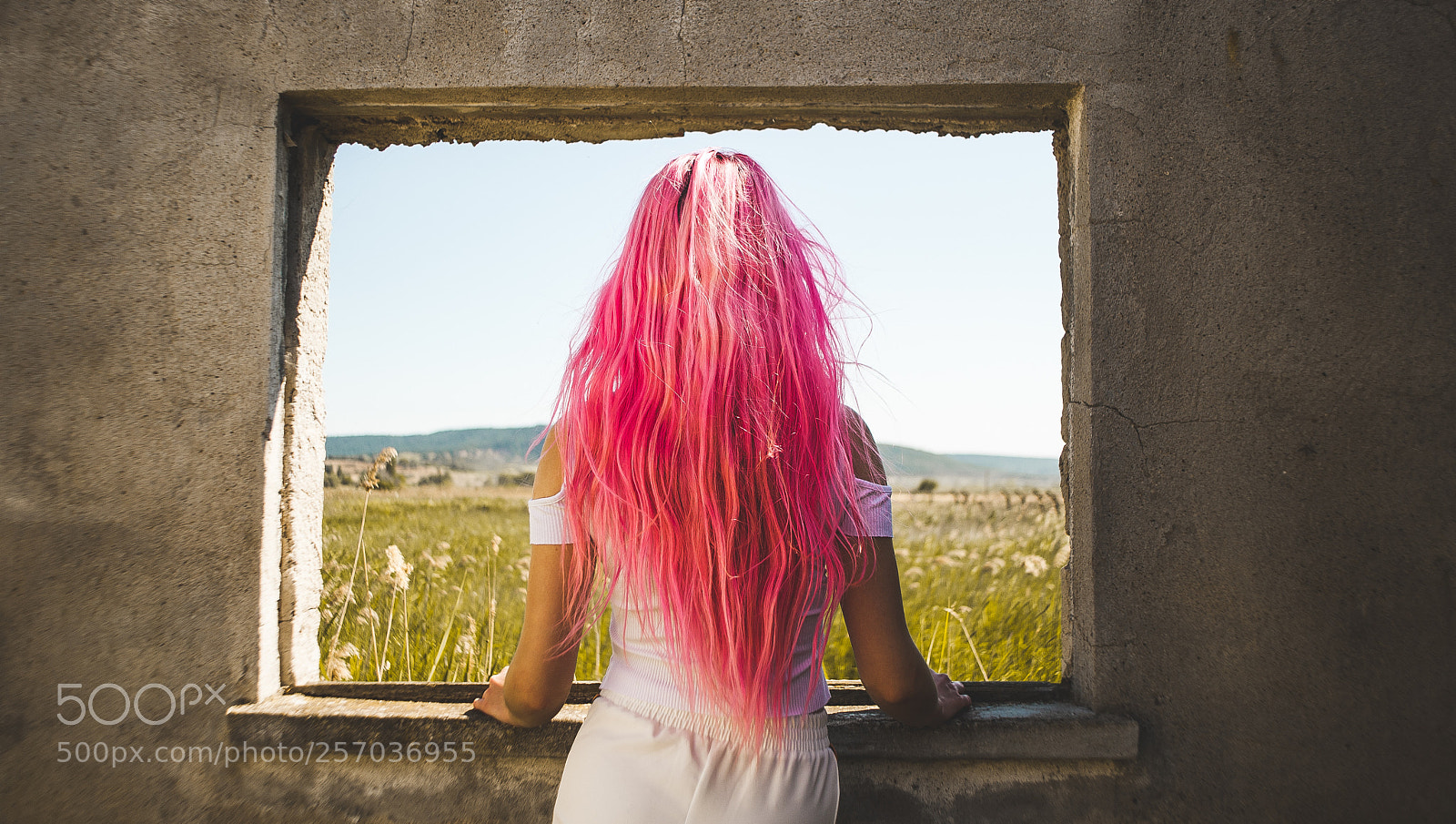Nikon D700 sample photo. Dreamin' in pink photography