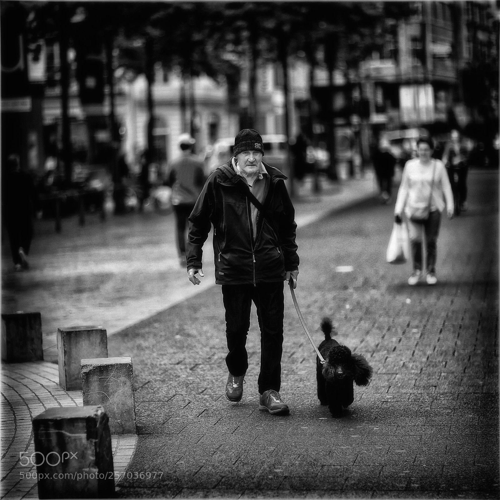 Canon EOS 5D Mark II sample photo. Man with poodle photography
